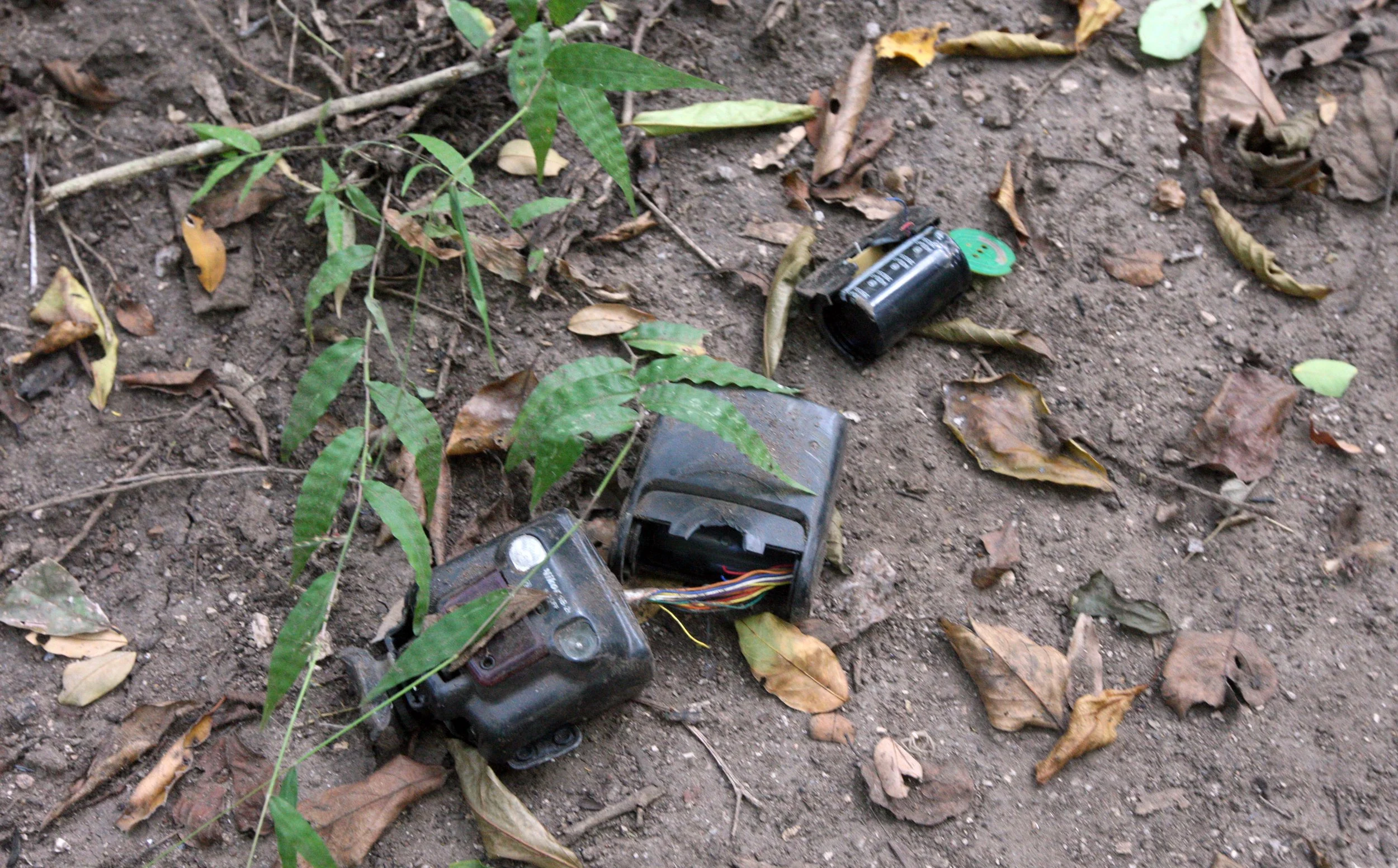 Elephant damage to a camera trap.