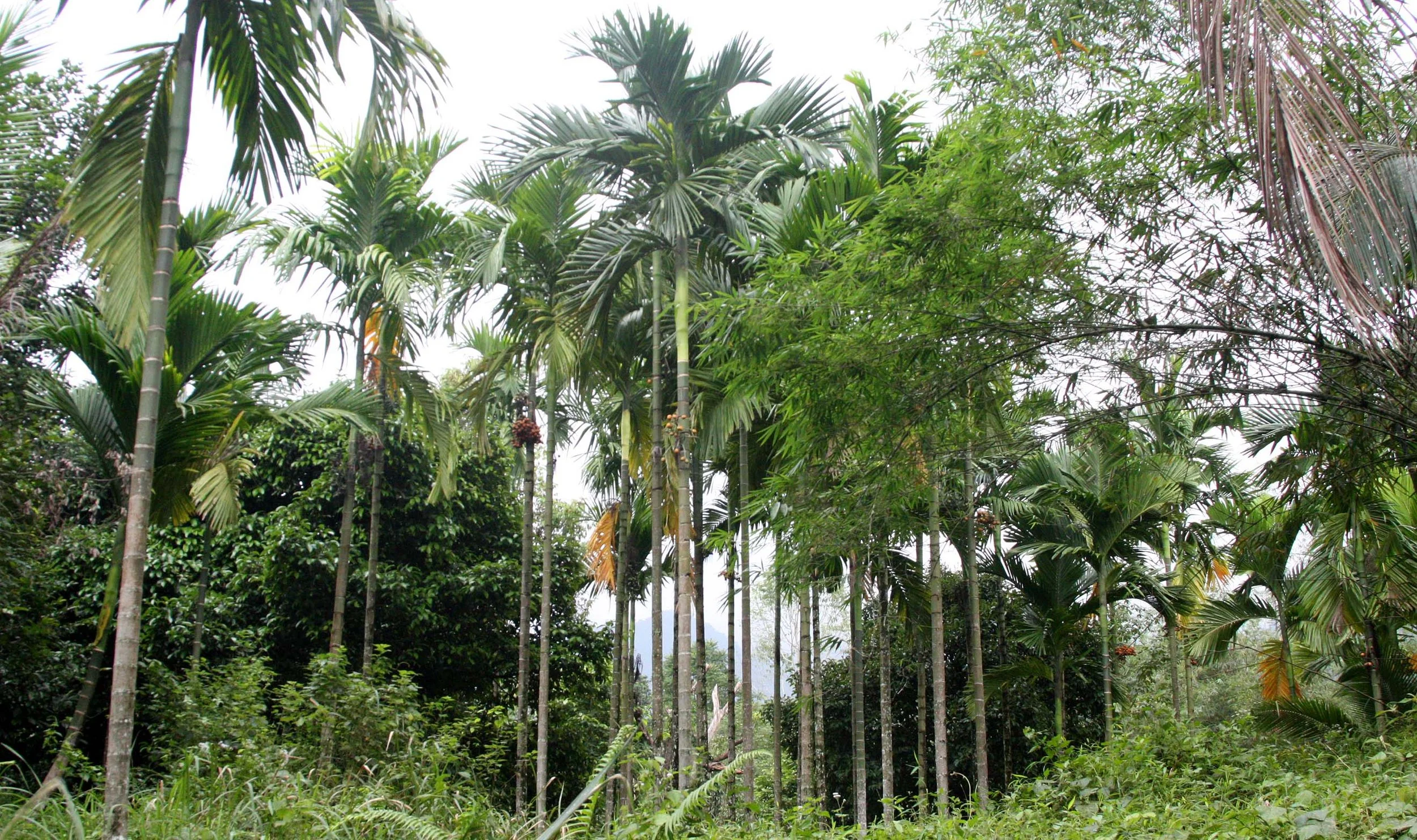 2009 Promluk Property Views (15).JPG