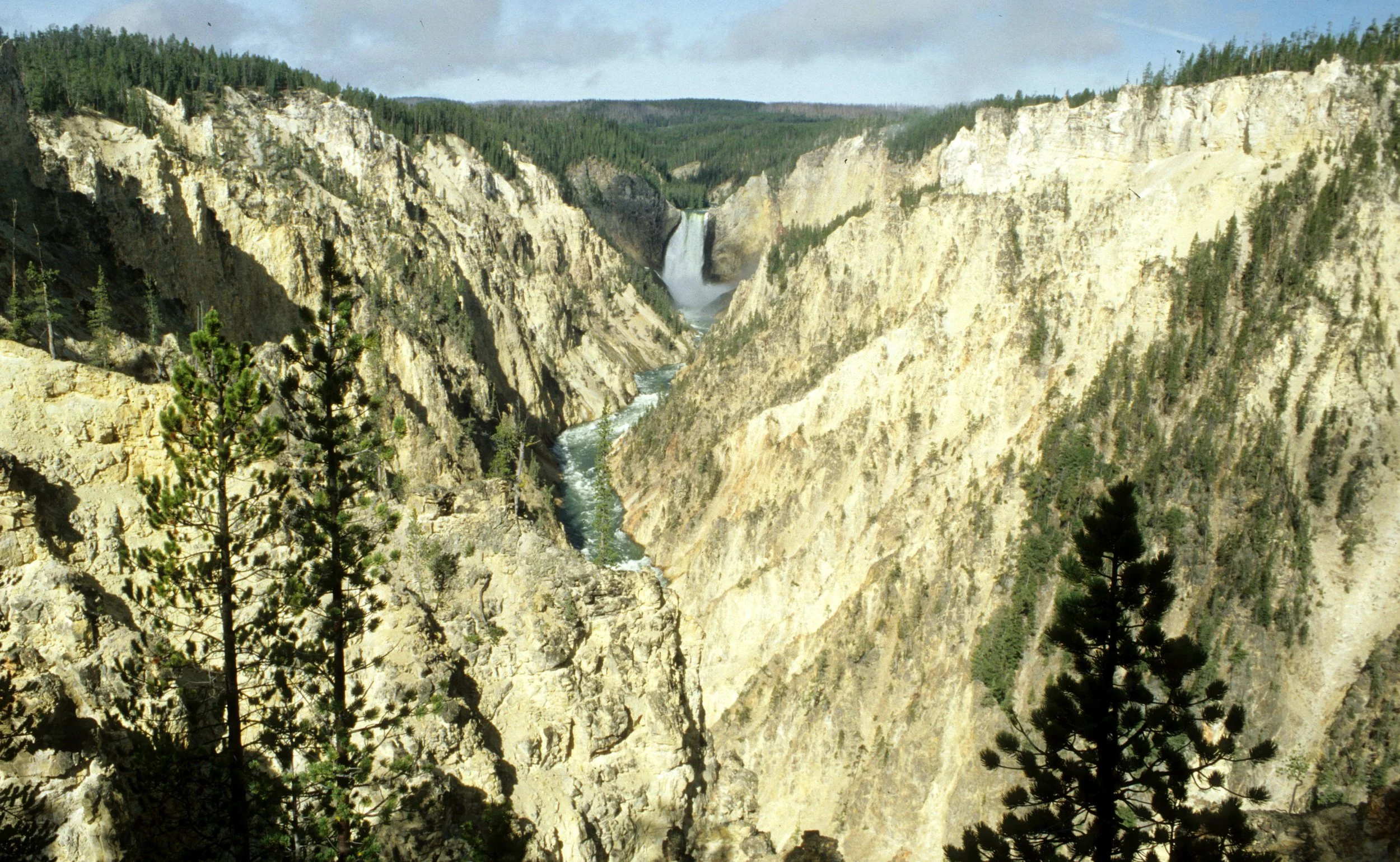 YELLOWSTONE - CANYON VIEW E.jpg