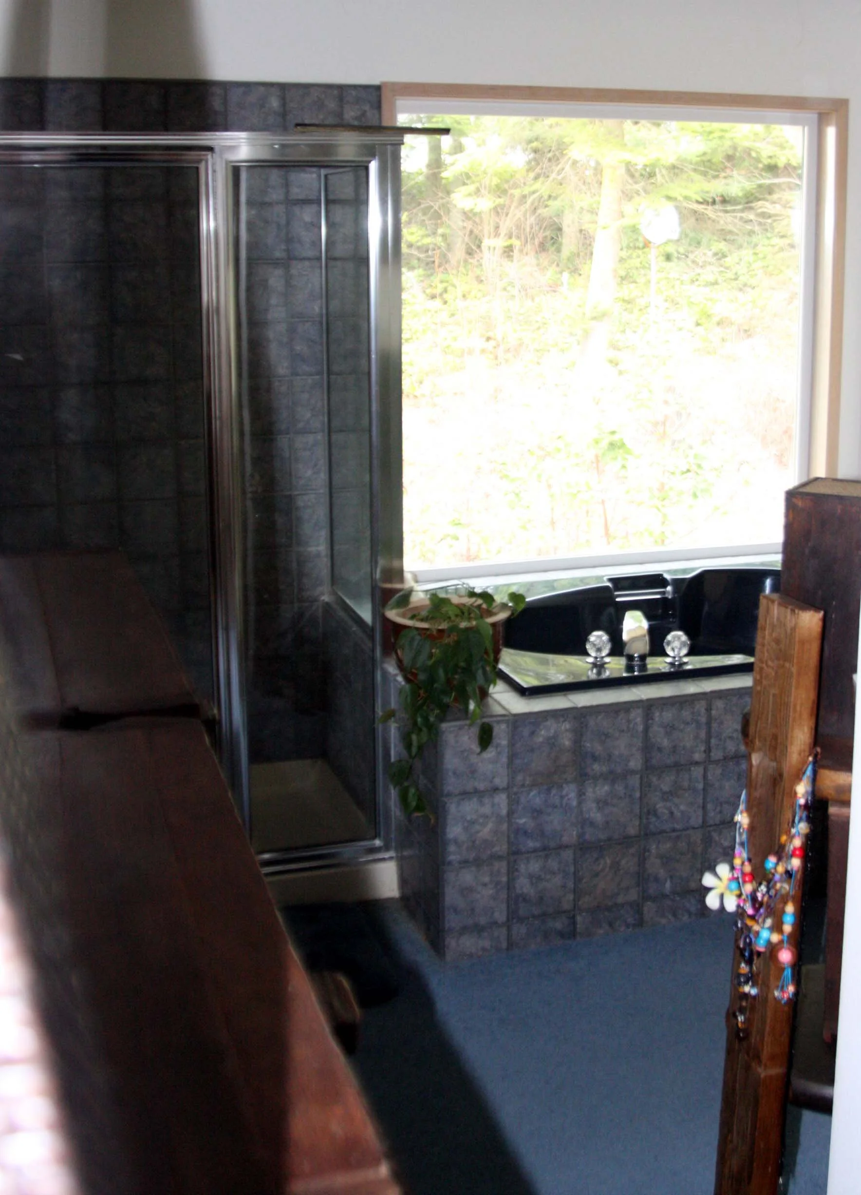2009-4-24 - HOUSE - MASTER BATH - THIRD LEVEL.JPG