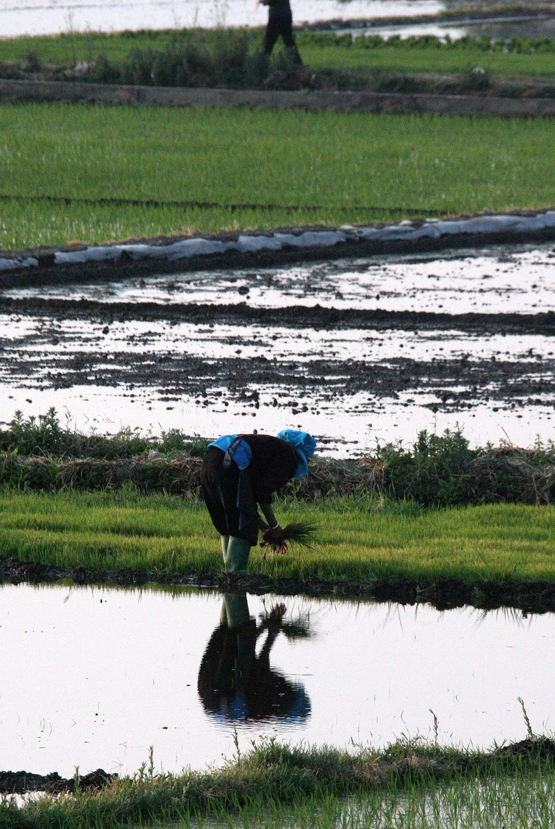 LINDEN CENTER - XIZHOU VILLAGE YUNNAN CHINA (77).JPG