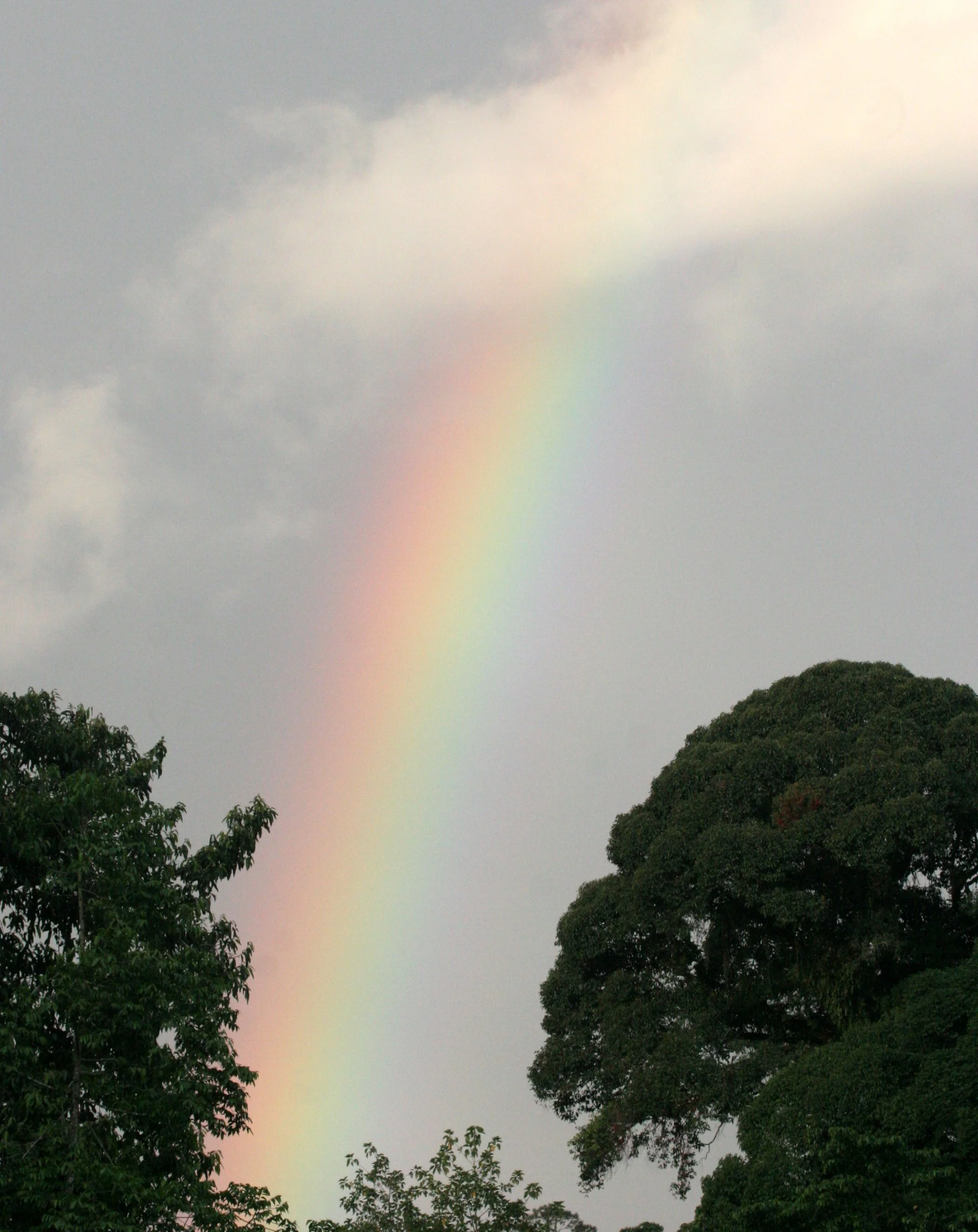 DANUM VALLEY BORNEO - RAINBOW (3).JPG