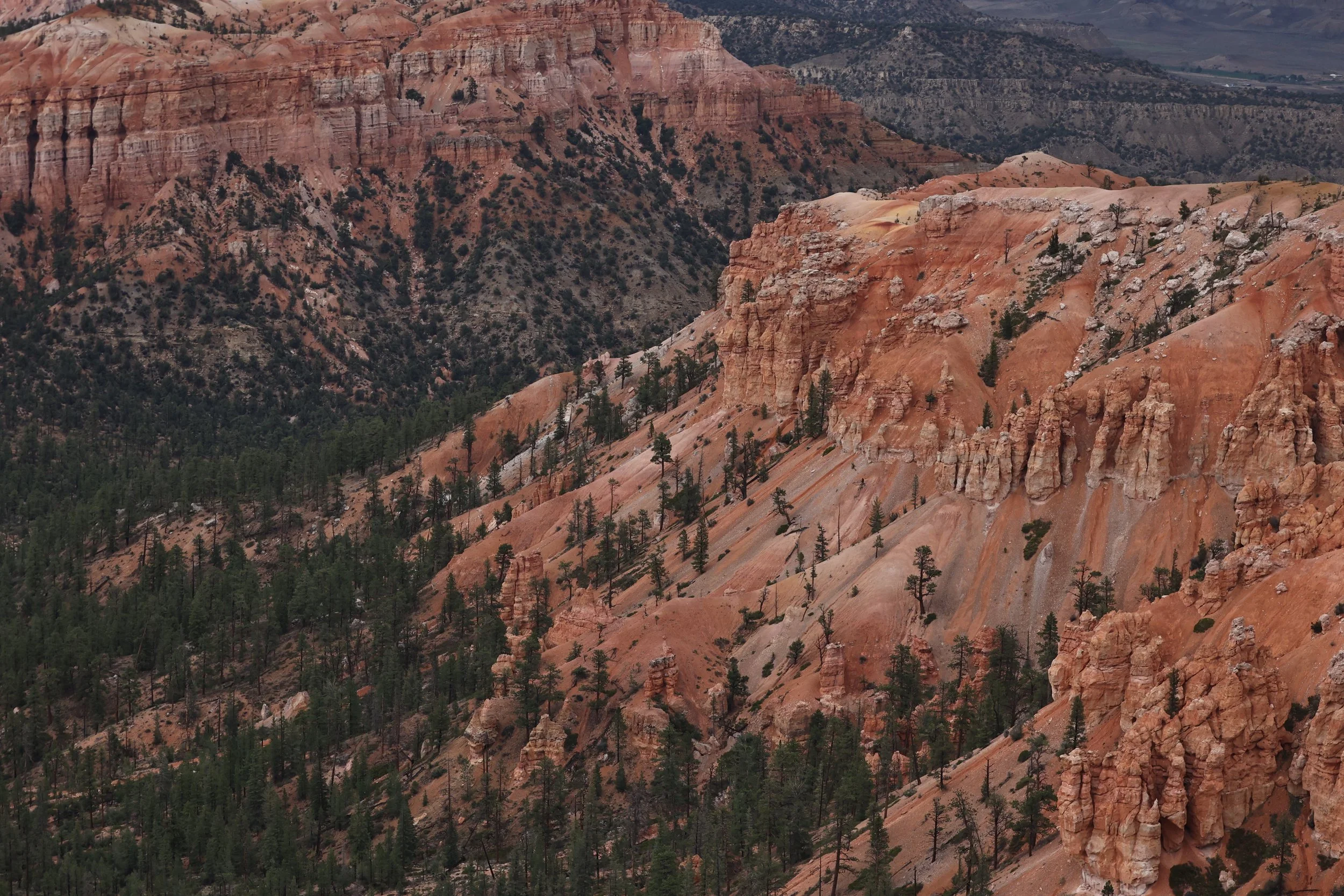 BRYCE CANYON UTAH 2022 (74).JPG