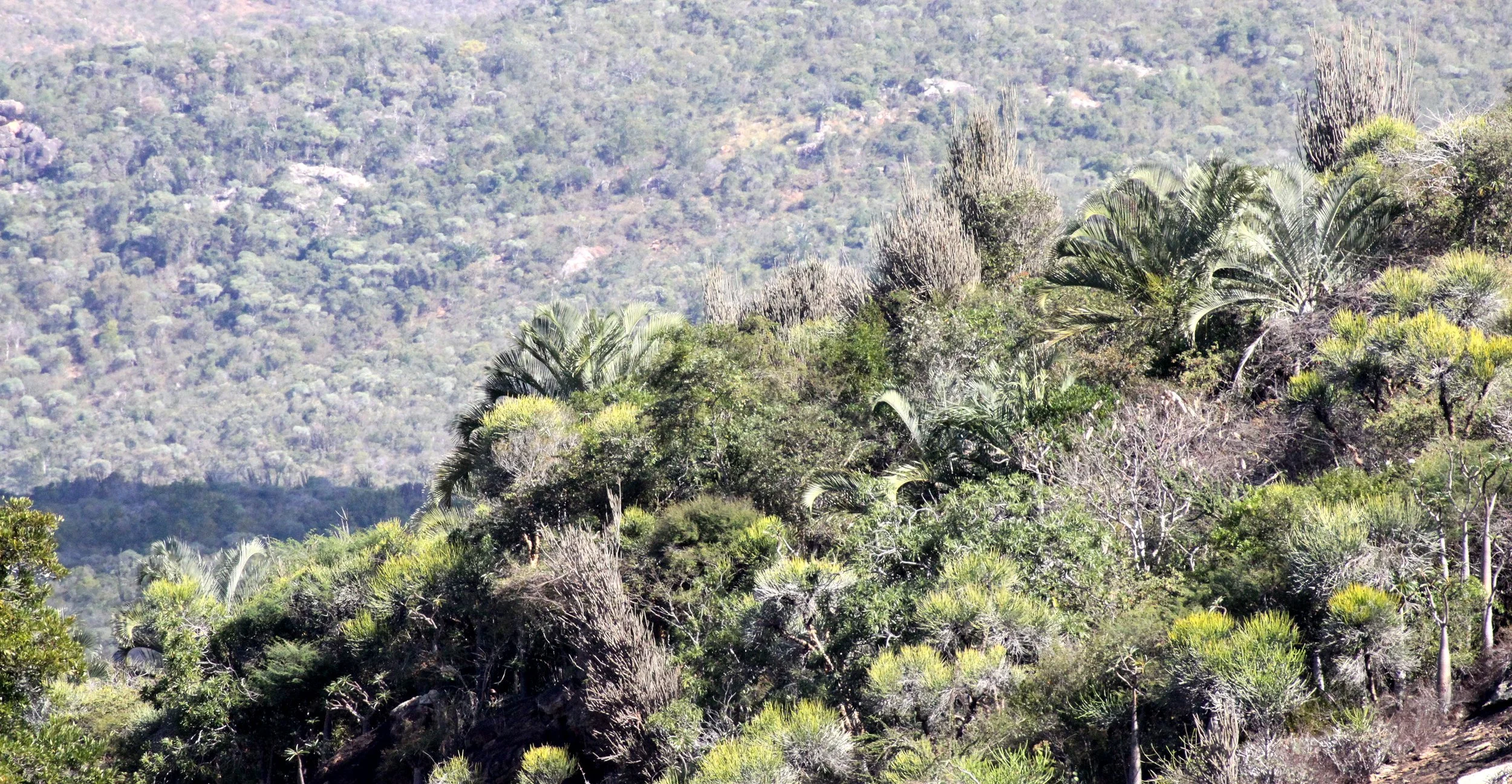 ANDOHAHELA NATIONAL PARK MADAGASCAR - VIEWS (2).JPG