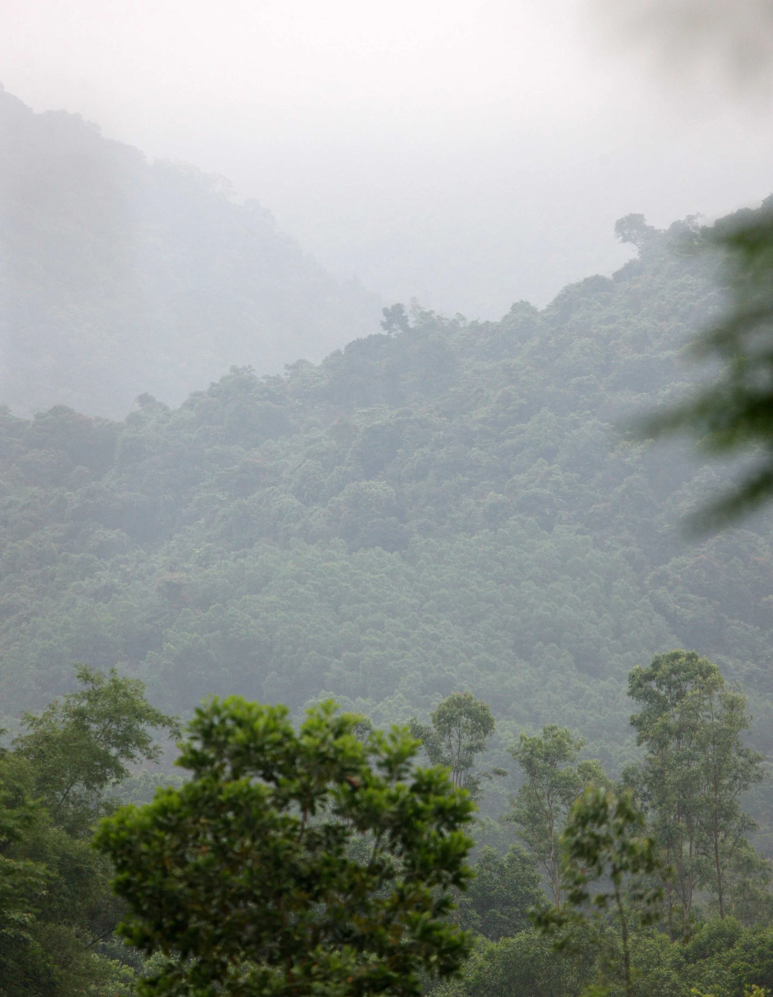 BACH MA NATIONAL PARK AND VICINIT VIET NAM (9).JPG