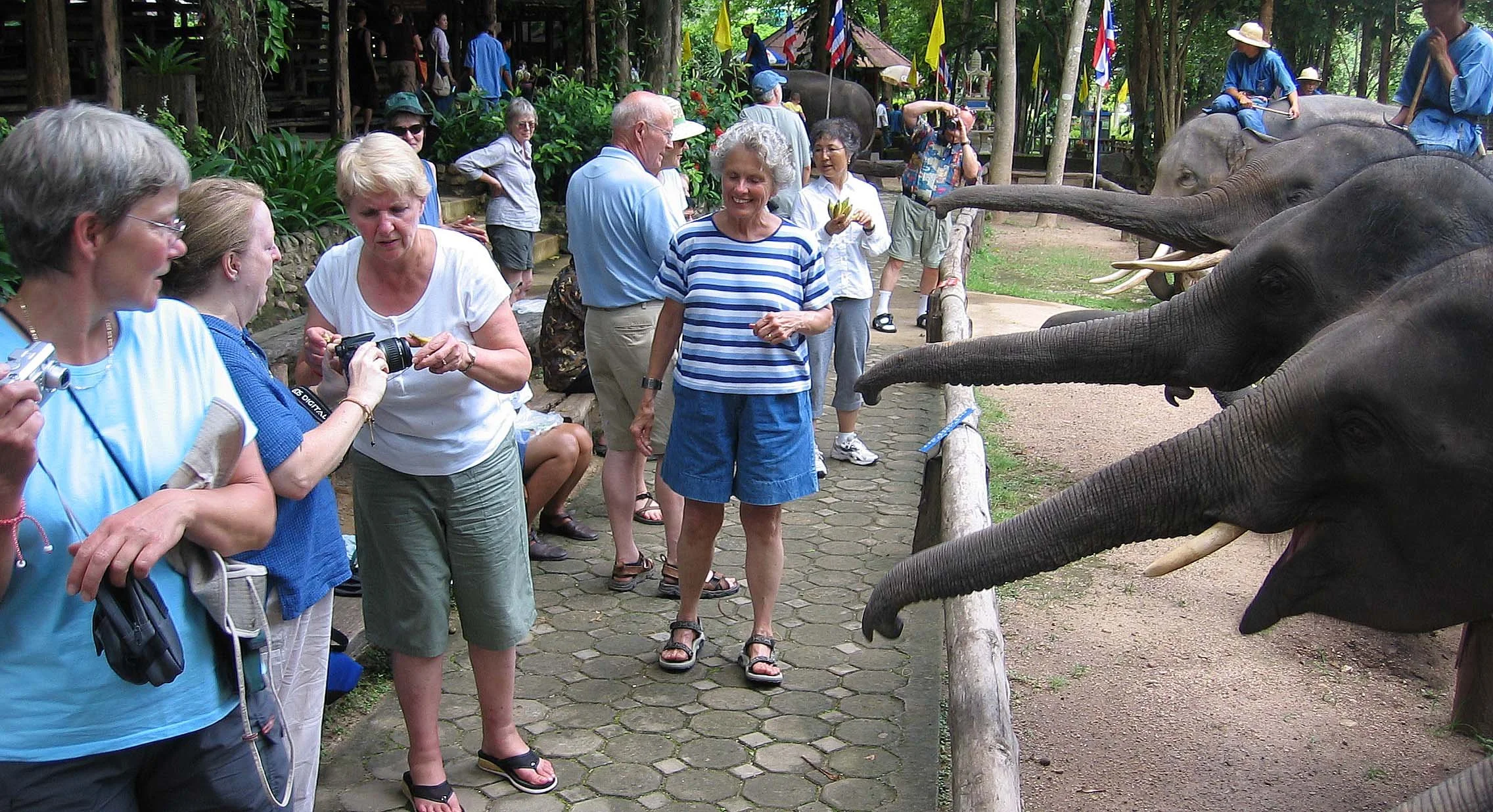 2008 Lampang City & Elephant Center (151).jpg