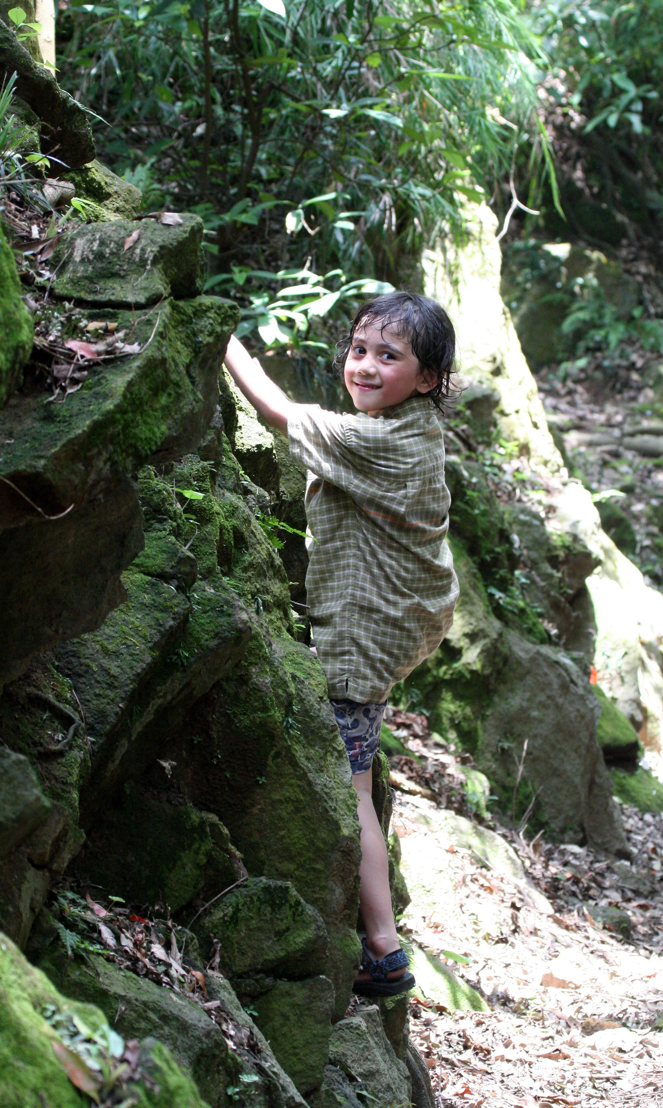 TAIPEI - MACAQUE TRAIL - LOOKING FOR FORMOSAN MACAQUE (5).JPG