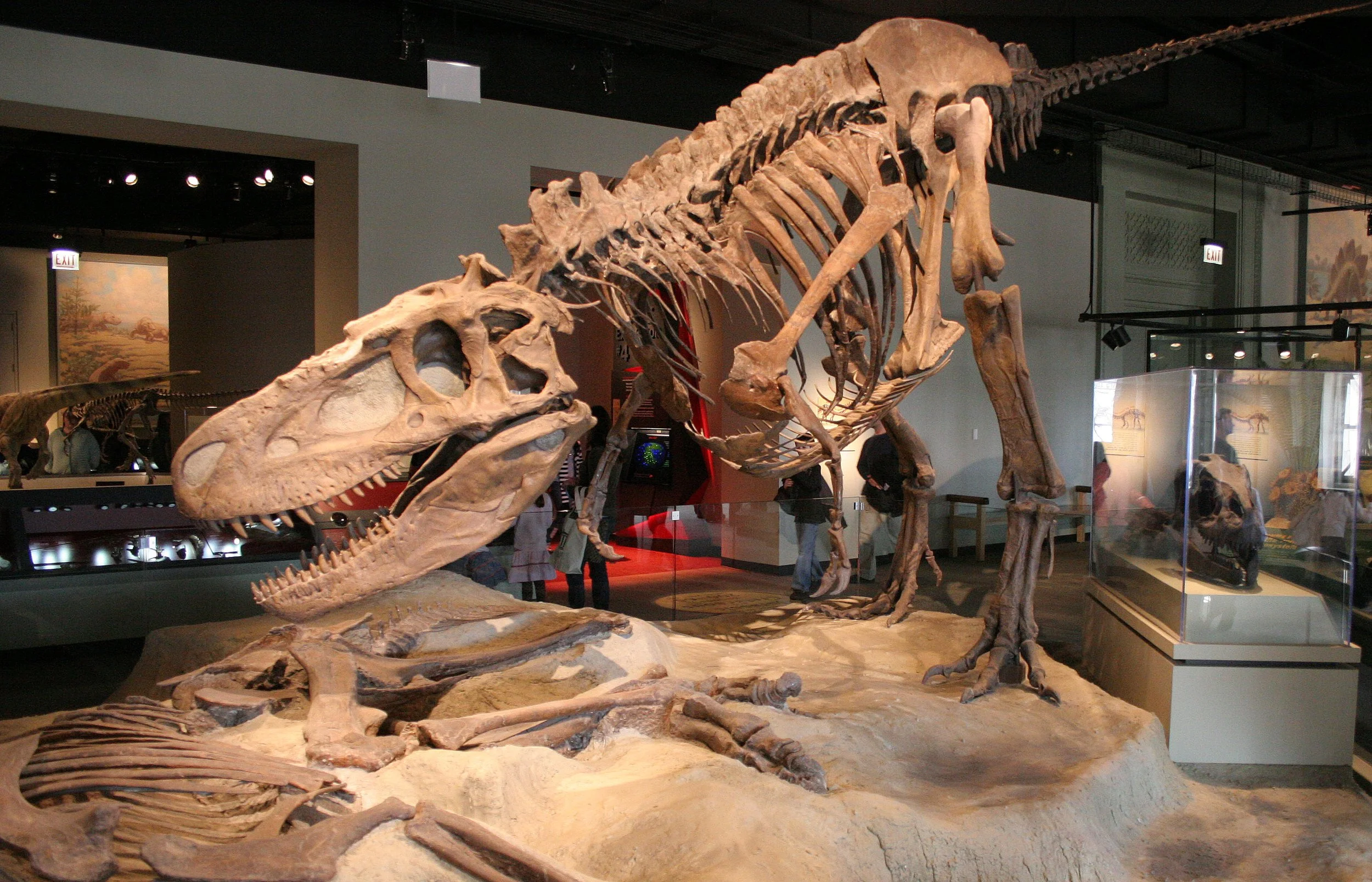 2008-3-28 CHICAGO SPRING BREAK TRIP (29).JPG