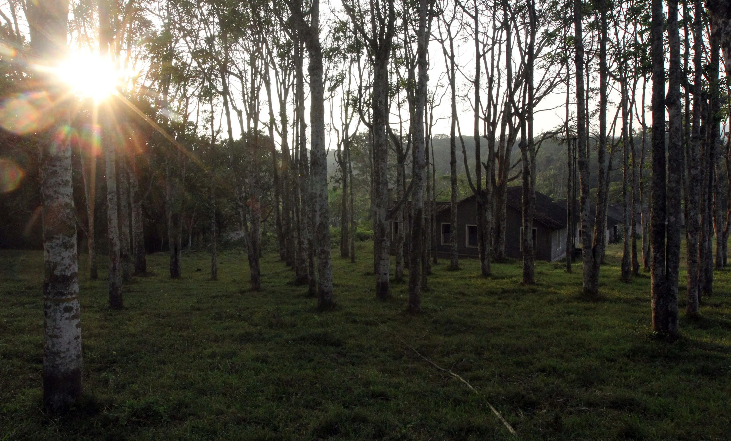 TOP SLIP NATIONAL PARK TAMIL NADU INDIA - PHOTO BY SOM SMITH (63).JPG