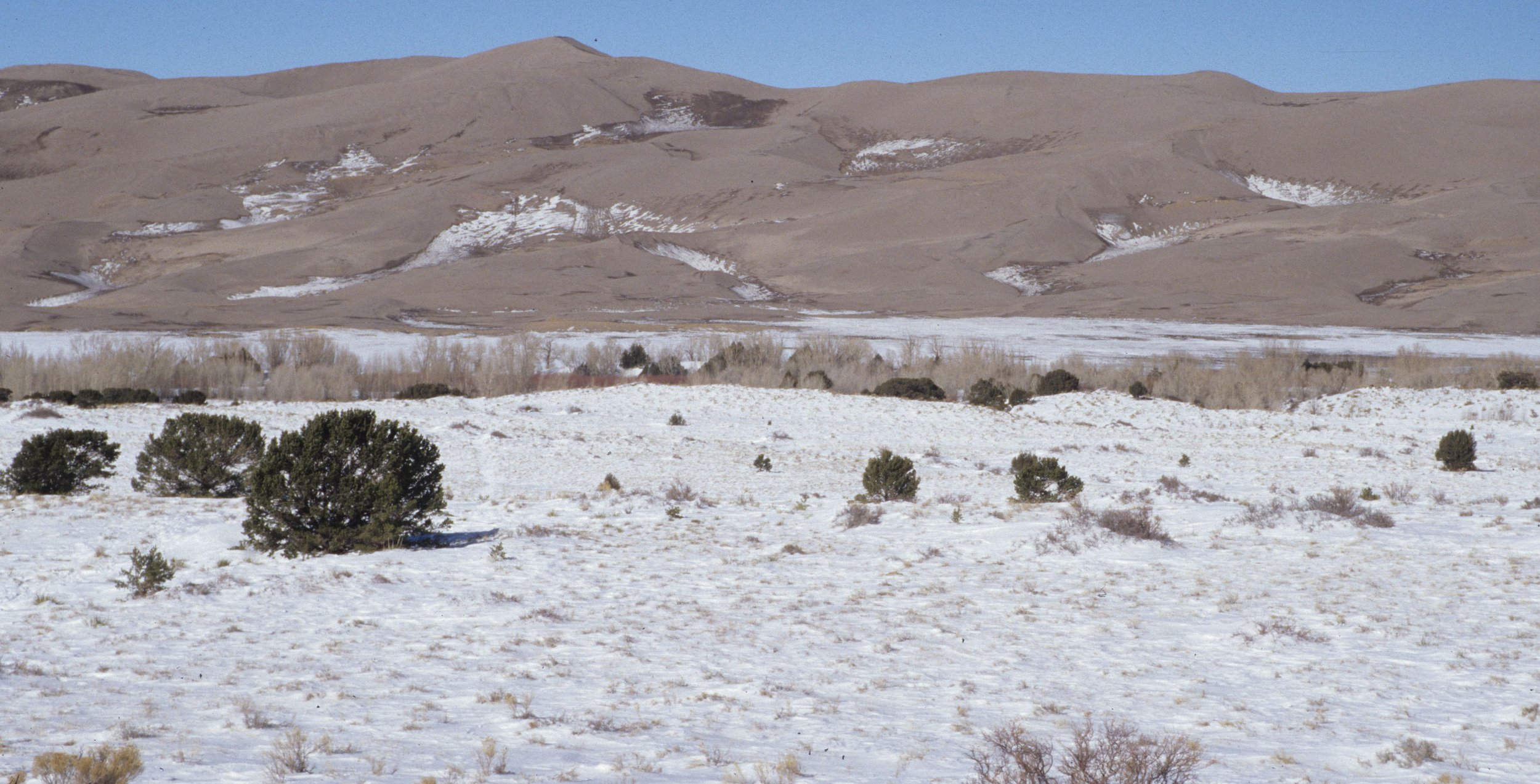 COLORADO DUNES NM B.jpg