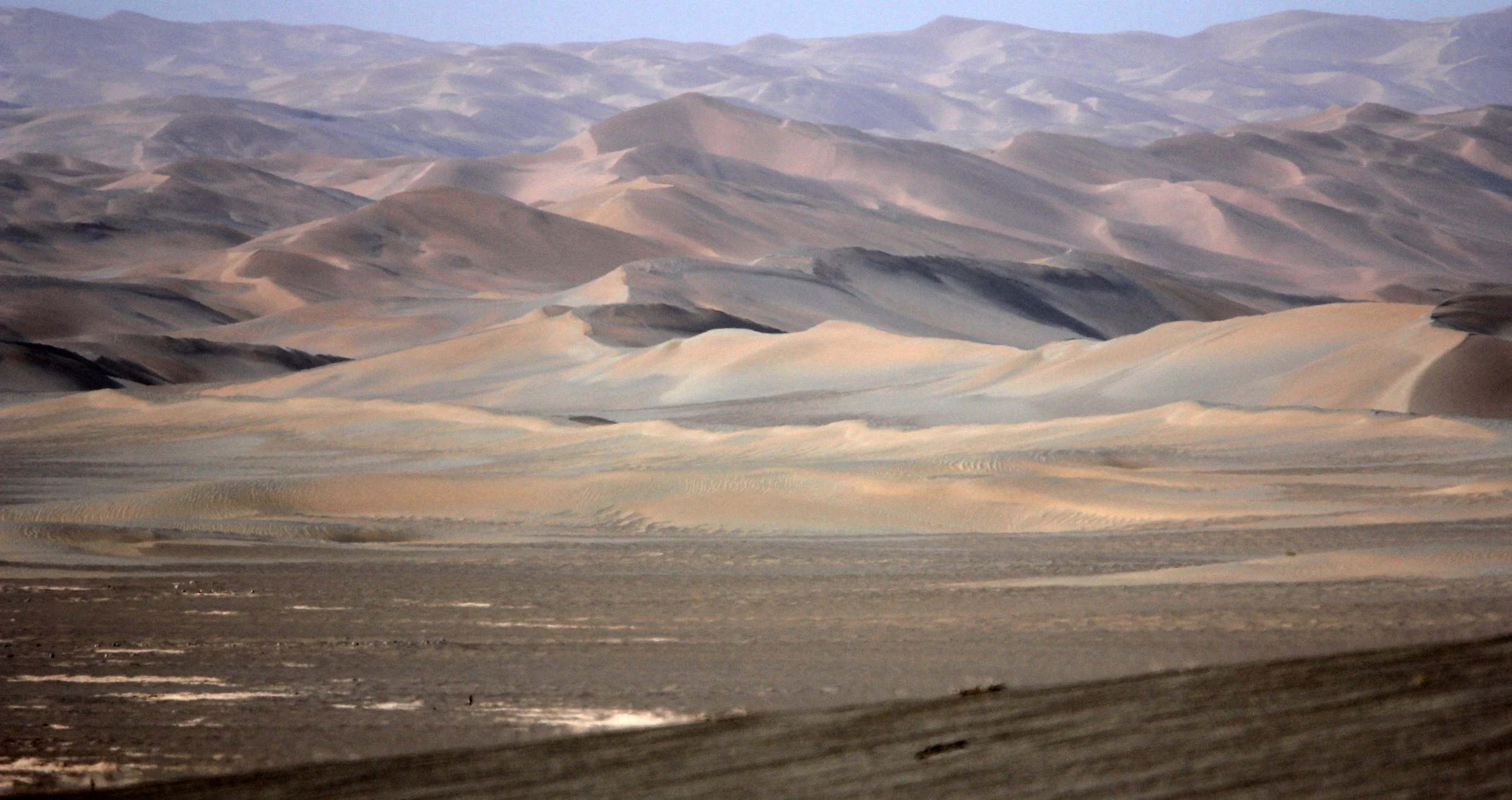LOP NUR WILD BACTRIAN CAMEL RESERVE - XINJIANG CHINA (122).JPG