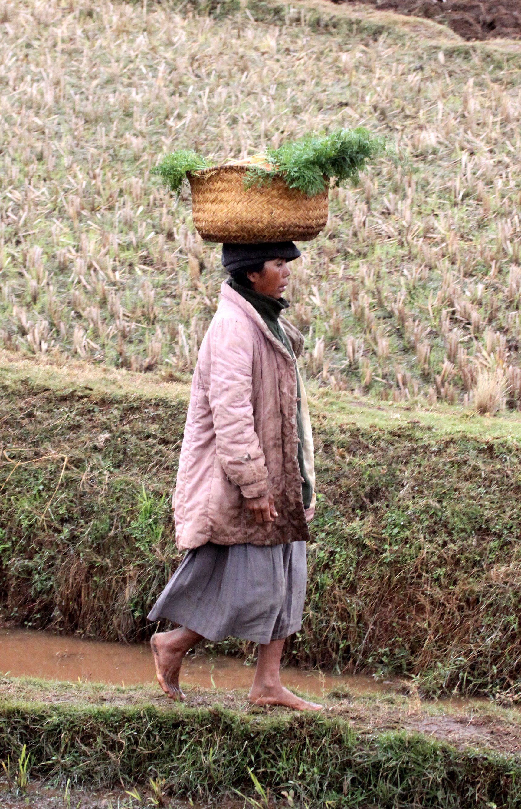 CENTRAL HIGHLANDS - ROAD TO RANOMAFANA (47).JPG