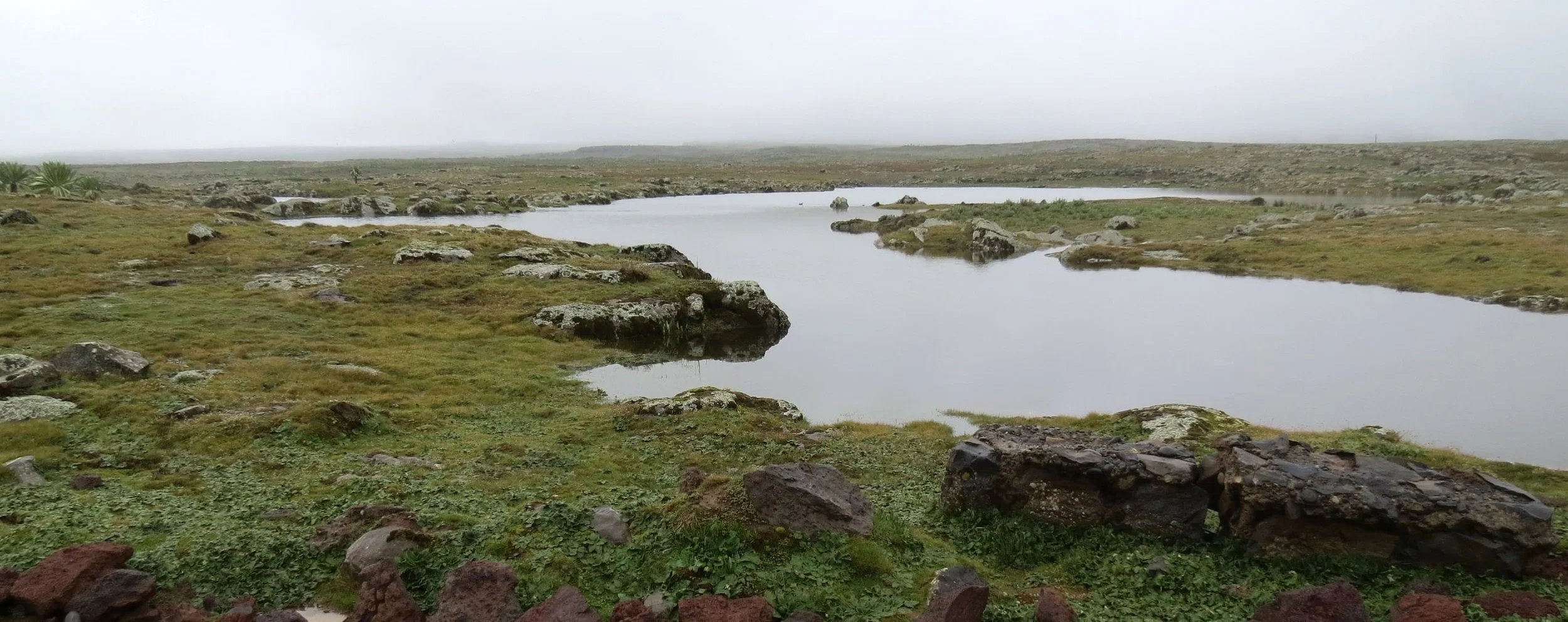 BALE MOUNTAINS NATIONAL PARK - SANETTI PLATEAU - ETHIOPIA (31).JPG