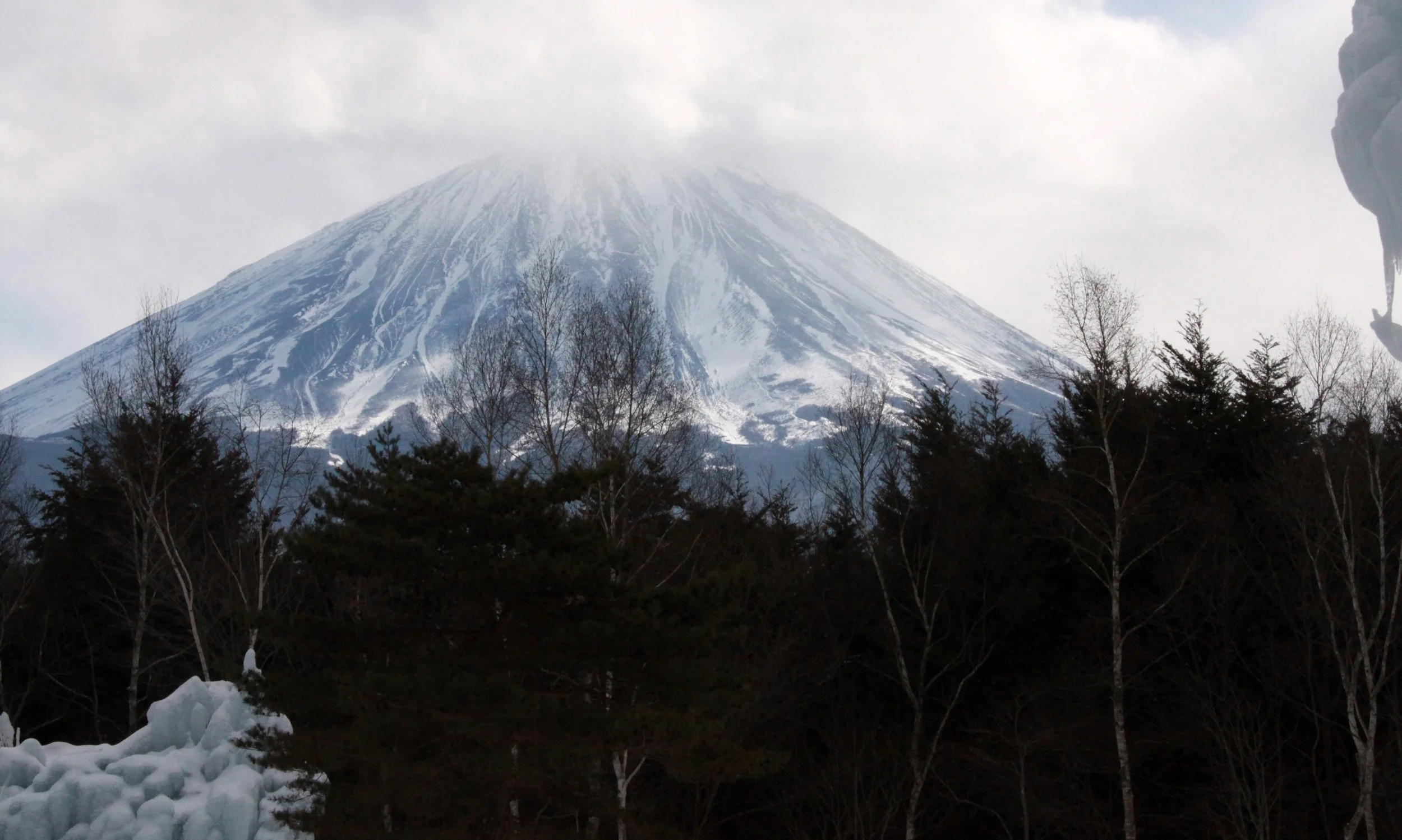 MOUNT FUJI - AS SEEN FROM SAIKOYACHONOMORI PARK JAPAN (4).JPG
