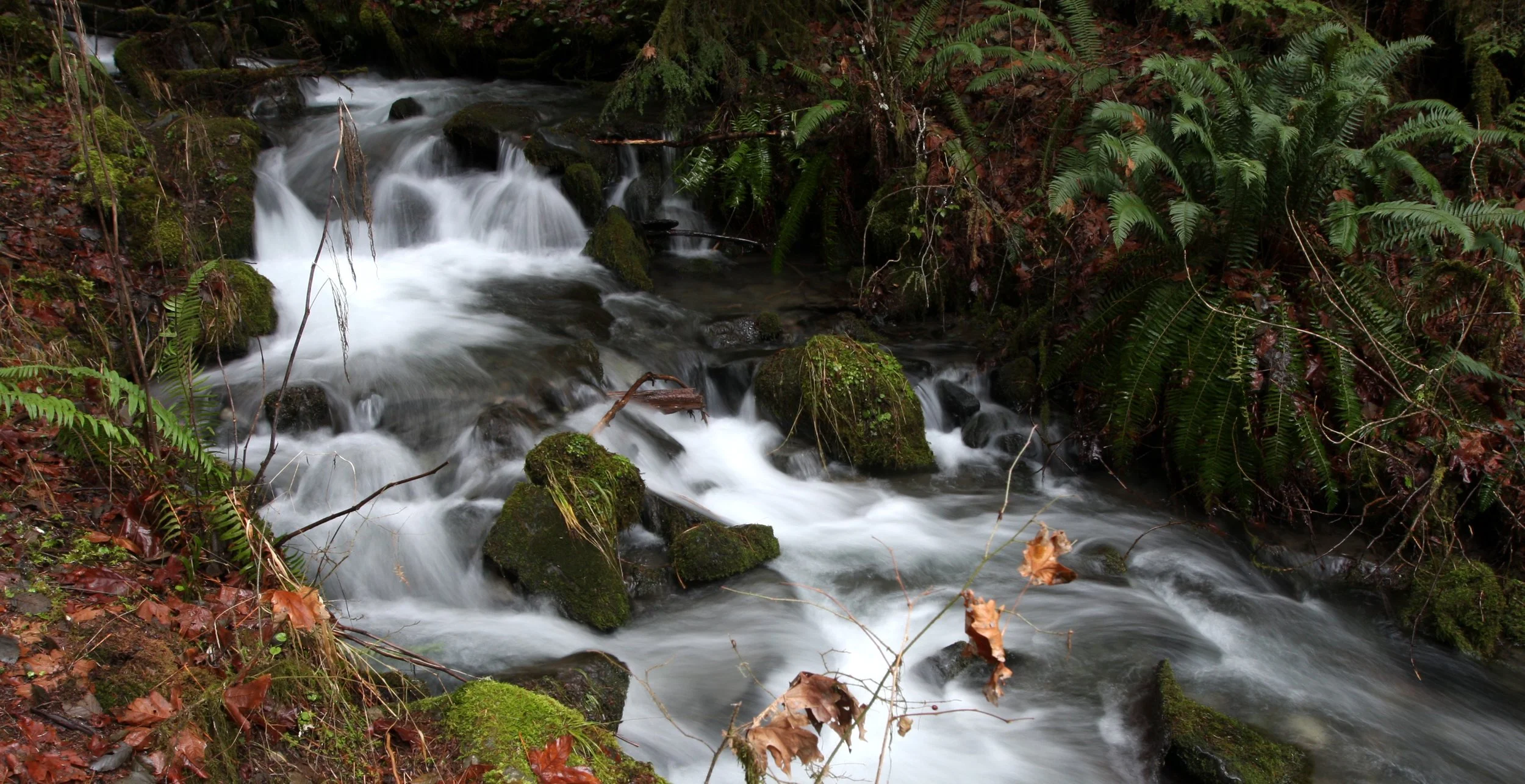 WHISKEY BEND TRAIL ROAD - SMALL STREAM (2).JPG