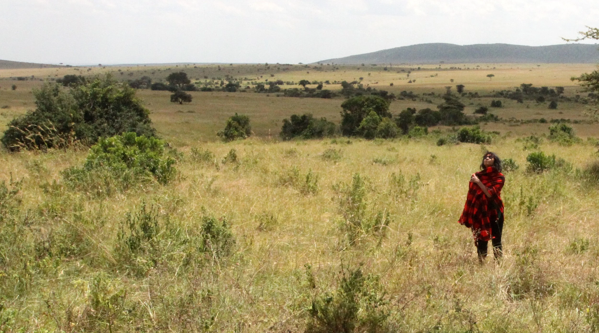 MASAI MARA NATIONAL PARK KENYA (176).JPG