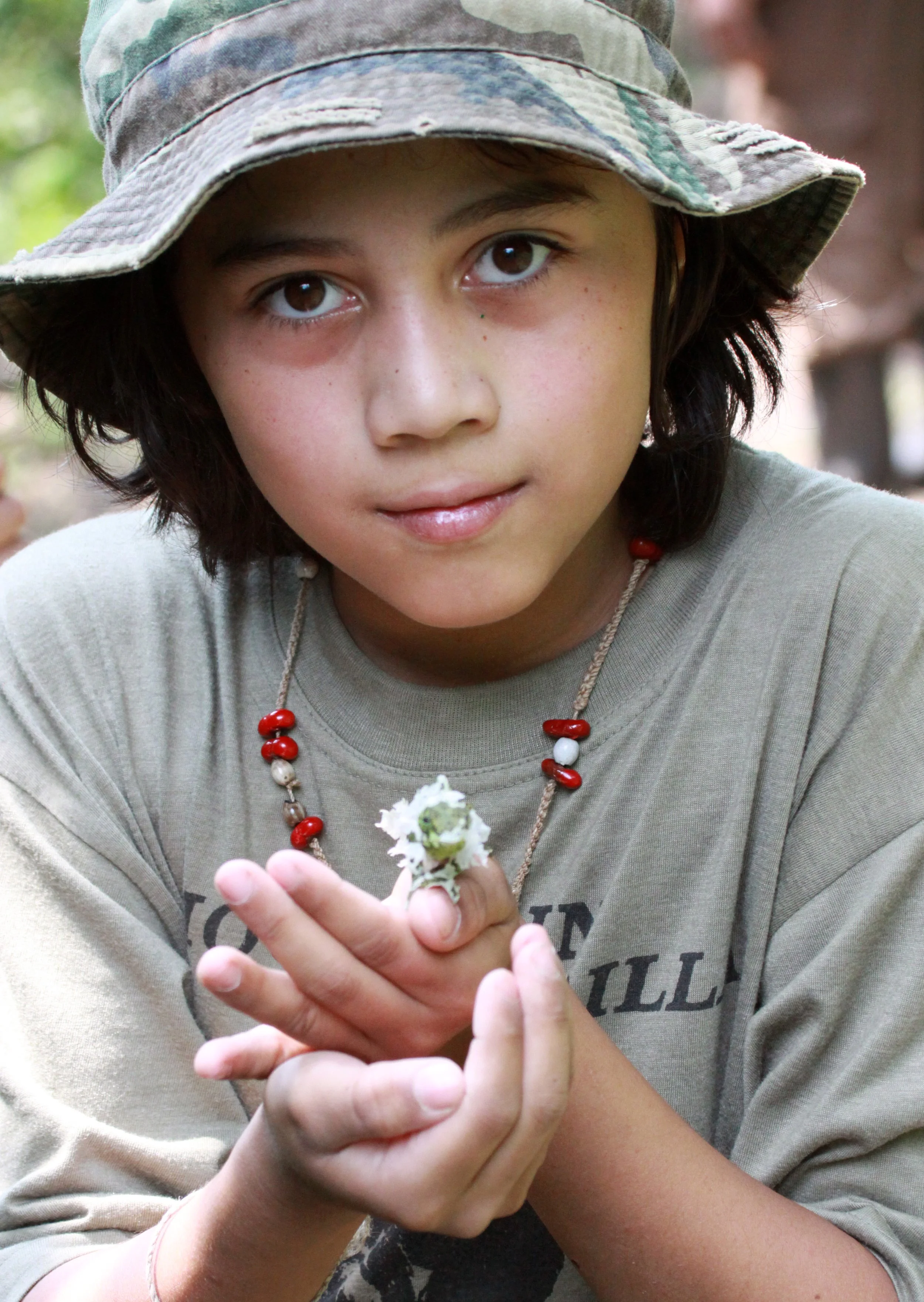Trioceros johnstoni - RWENZORI THREE-HORNED CHAMELEON -  RWENZORI NATIONAL PARK UGANDA (17).JPG