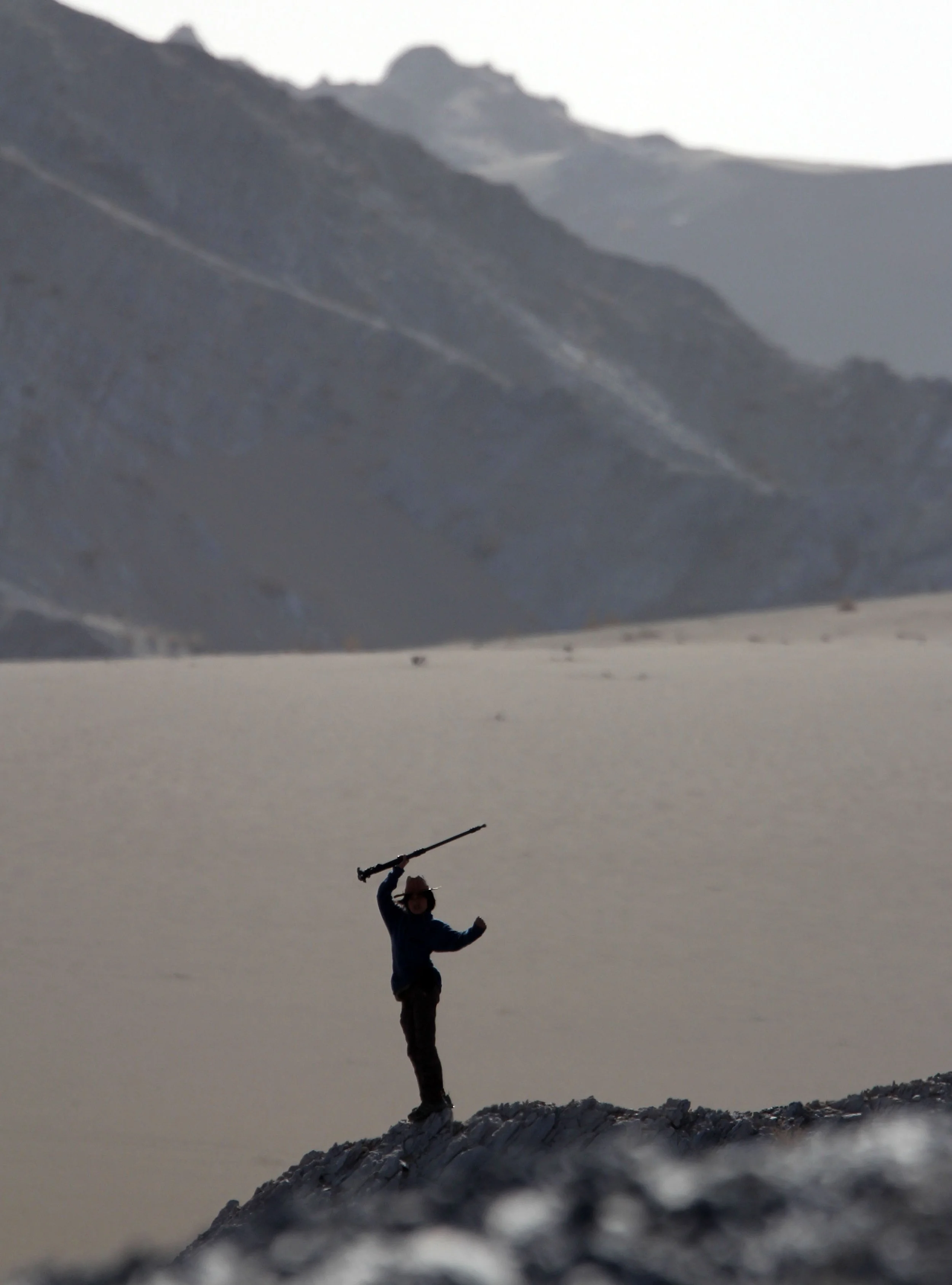 LOP NUR WILD BACTRIAN CAMEL RESERVE - XINJIANG CHINA (119).JPG