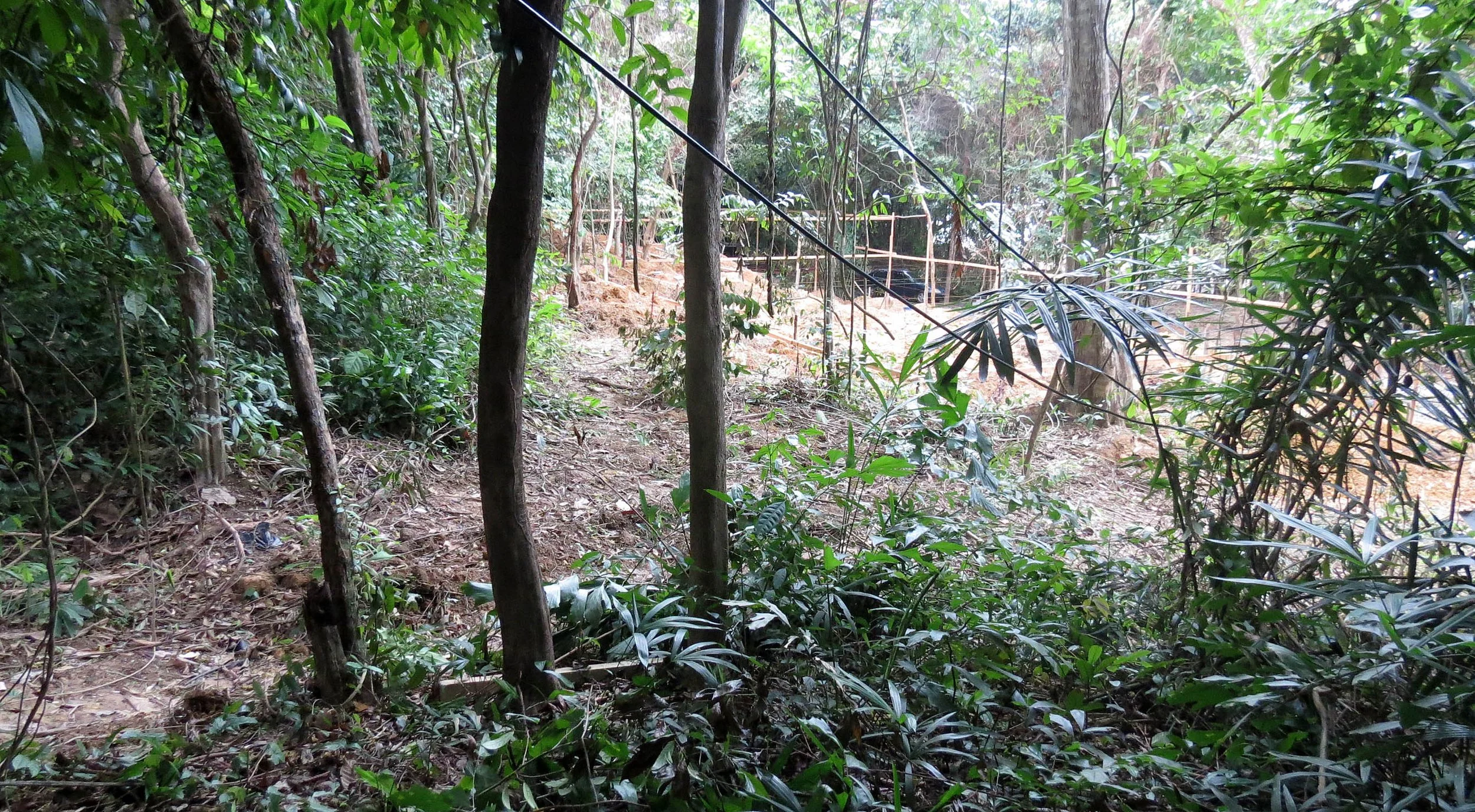 2014 Koh Lanta Build (143).JPG