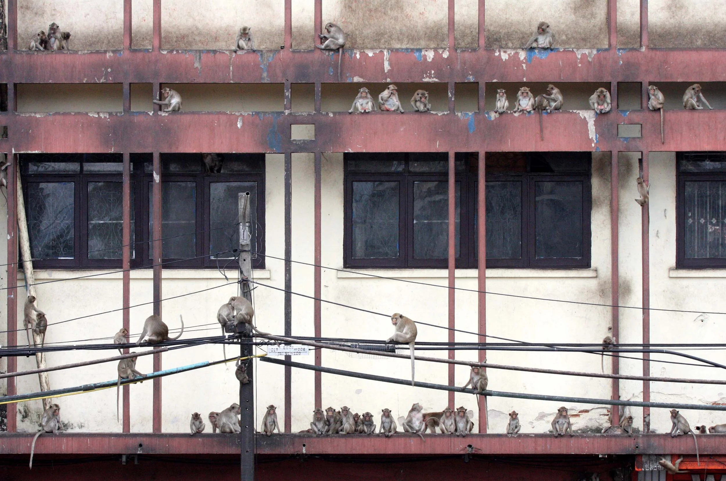 2008 Lopburi Road Trip with Macaques and Temples (32).JPG