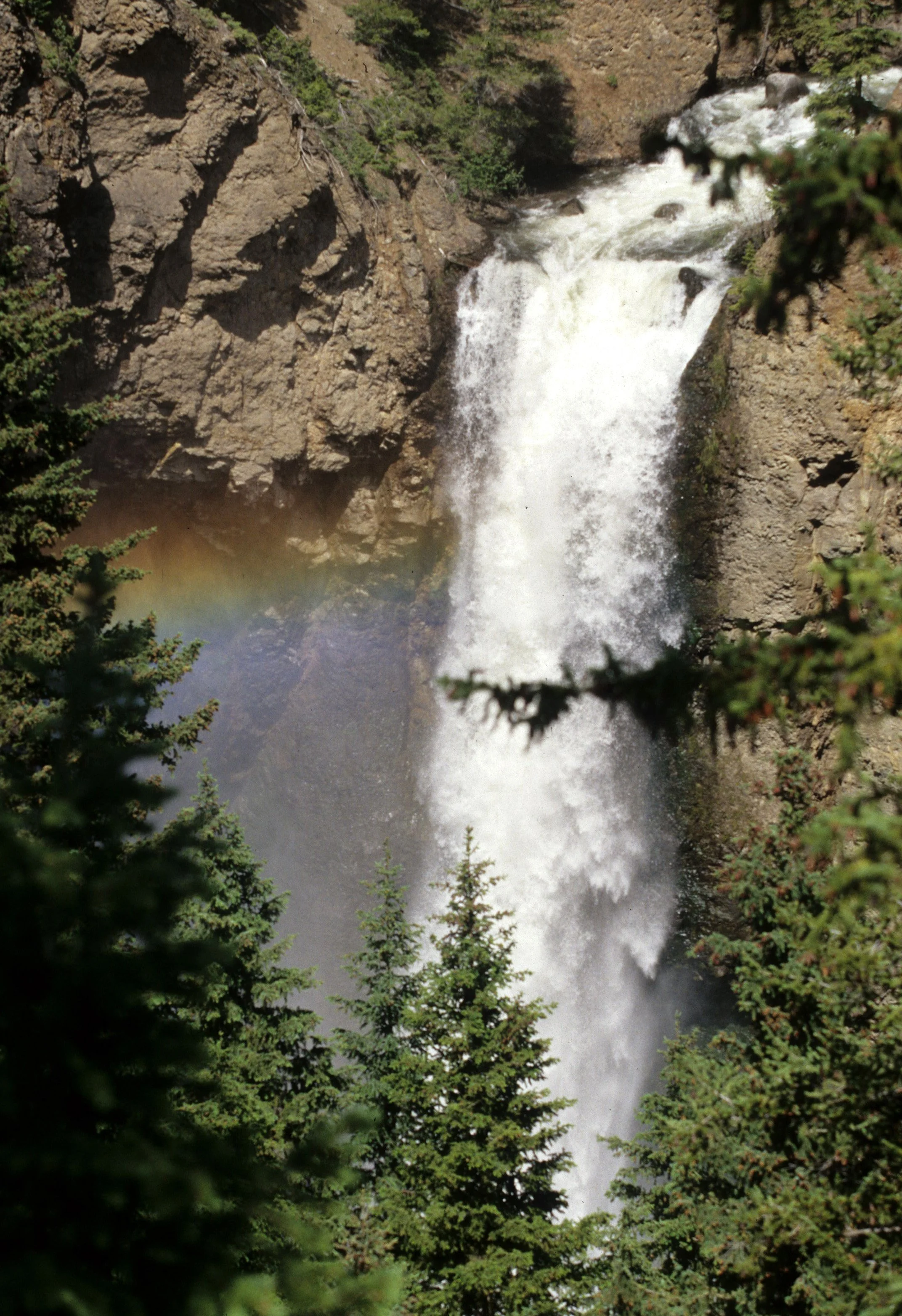 YELLOWSTONE - LOWER FALLS B.jpg