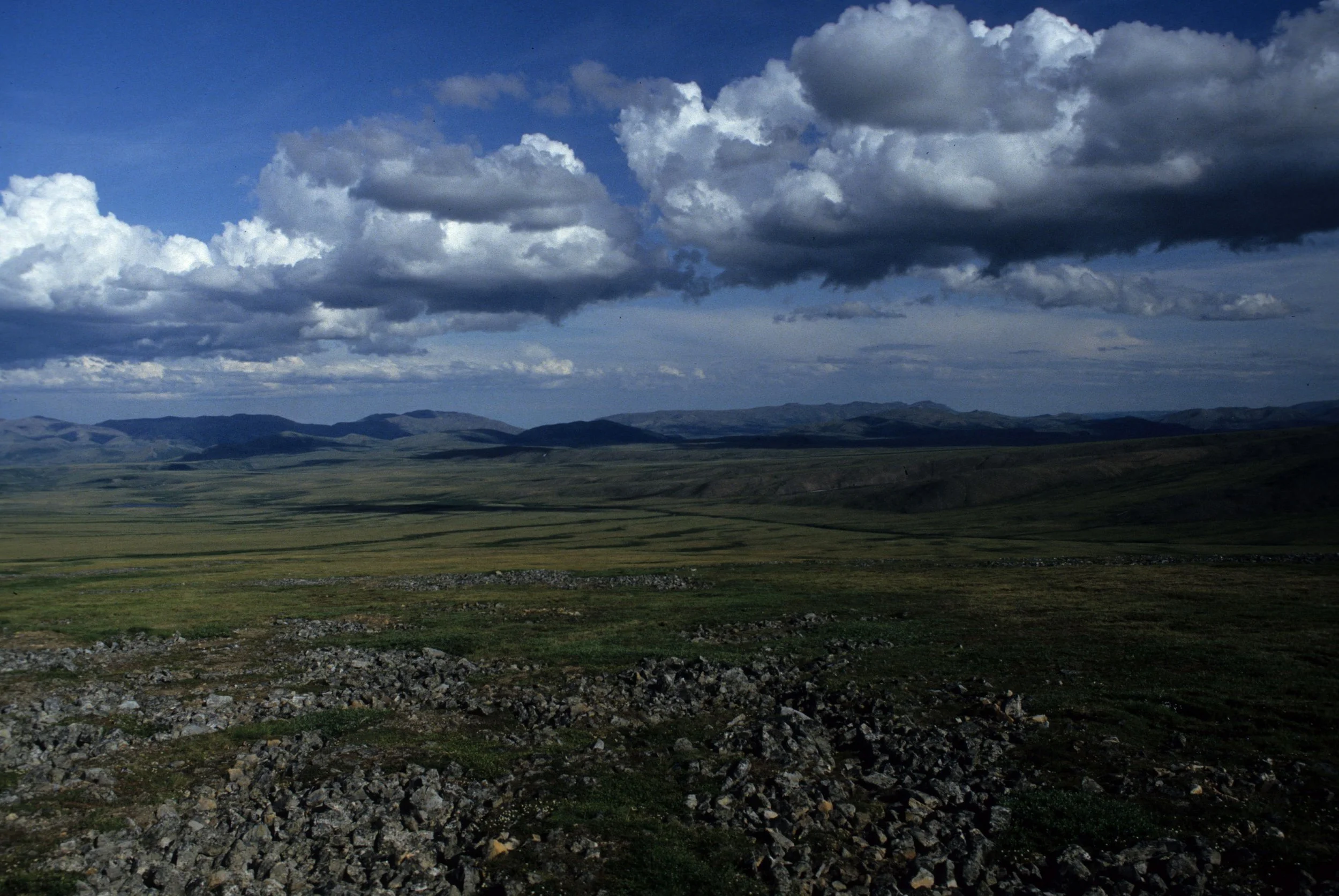 ALASKA - BROOKS RANGE FROM RICHARDSON HIGHWAY.jpg