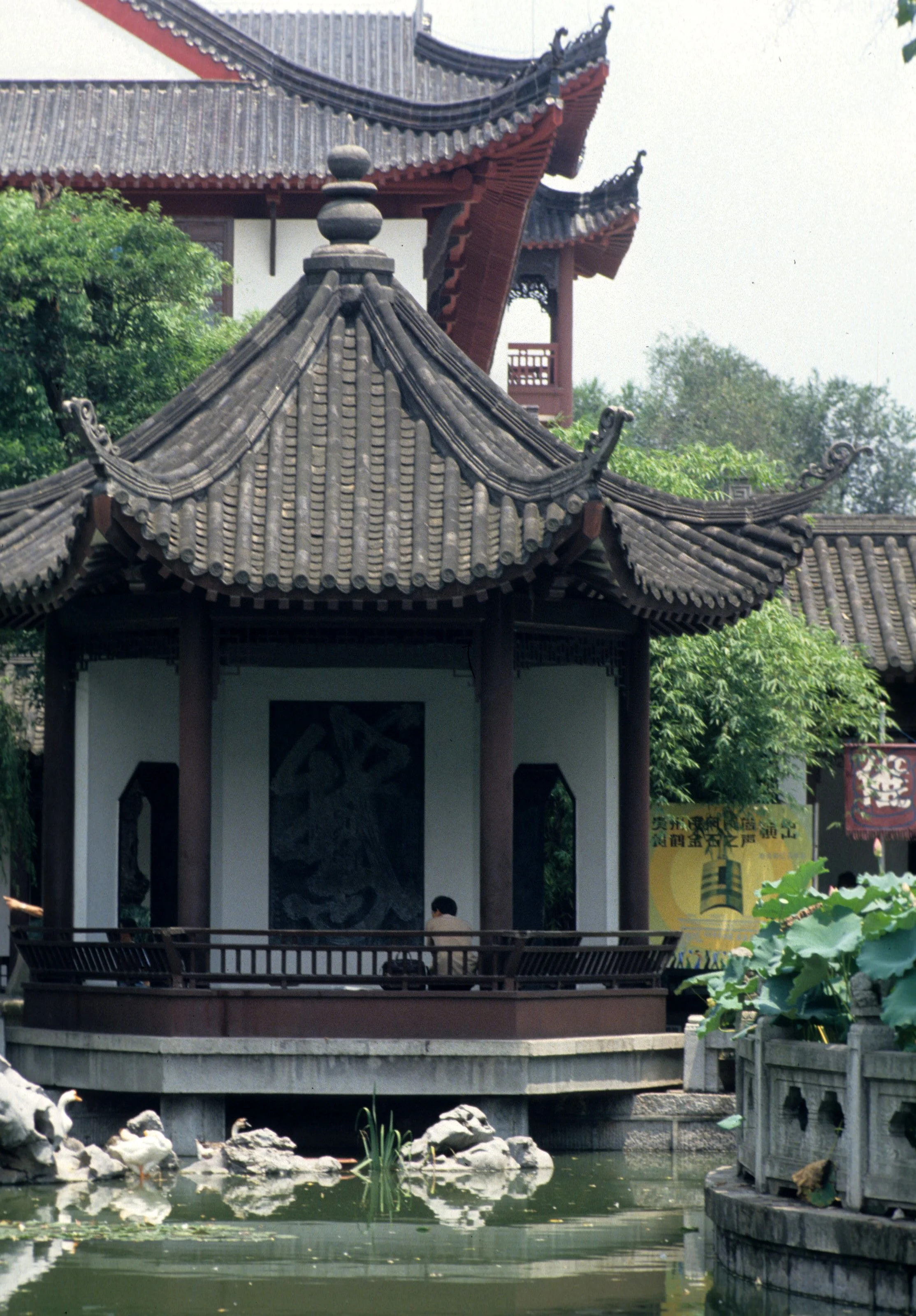 WUHAN - CHINA (7).jpg