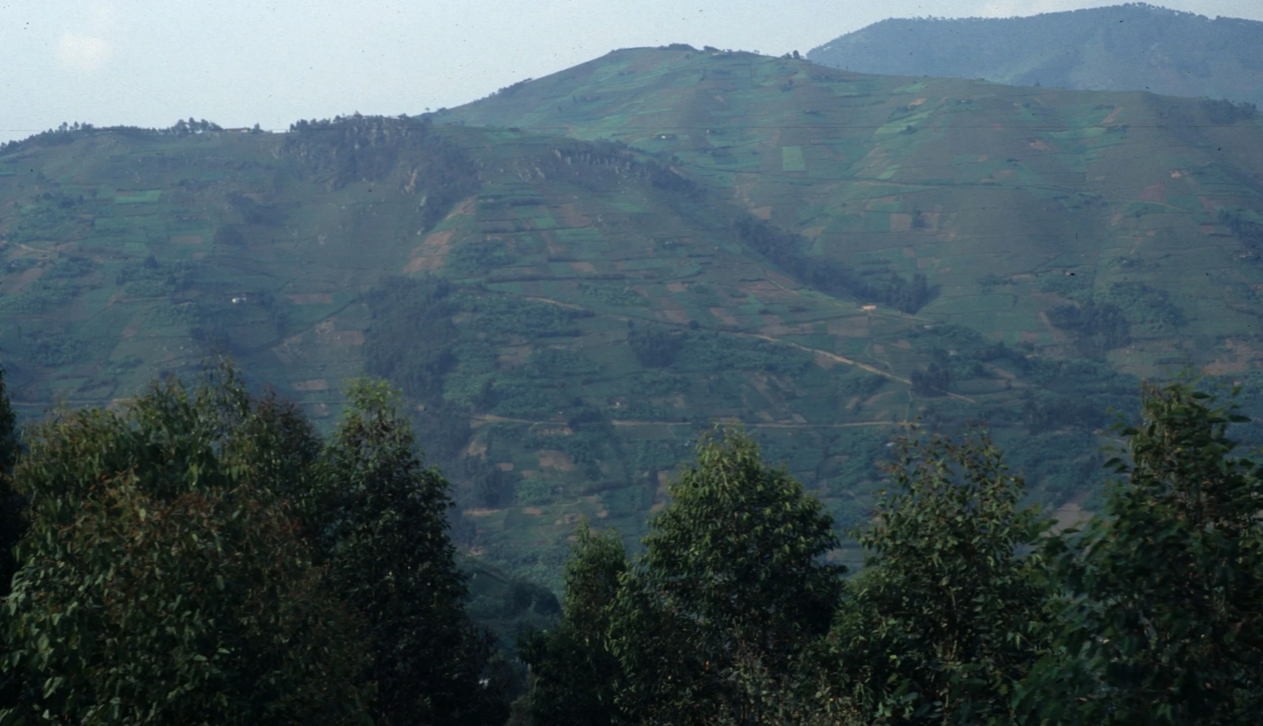 UGANDA - COUNTRYSIDE F.jpg