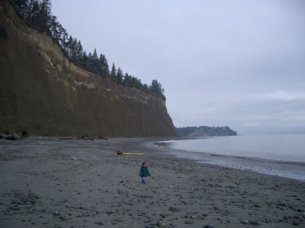 2004-1-18 LAKE FARM DAY ON THE BEACH (26).JPG