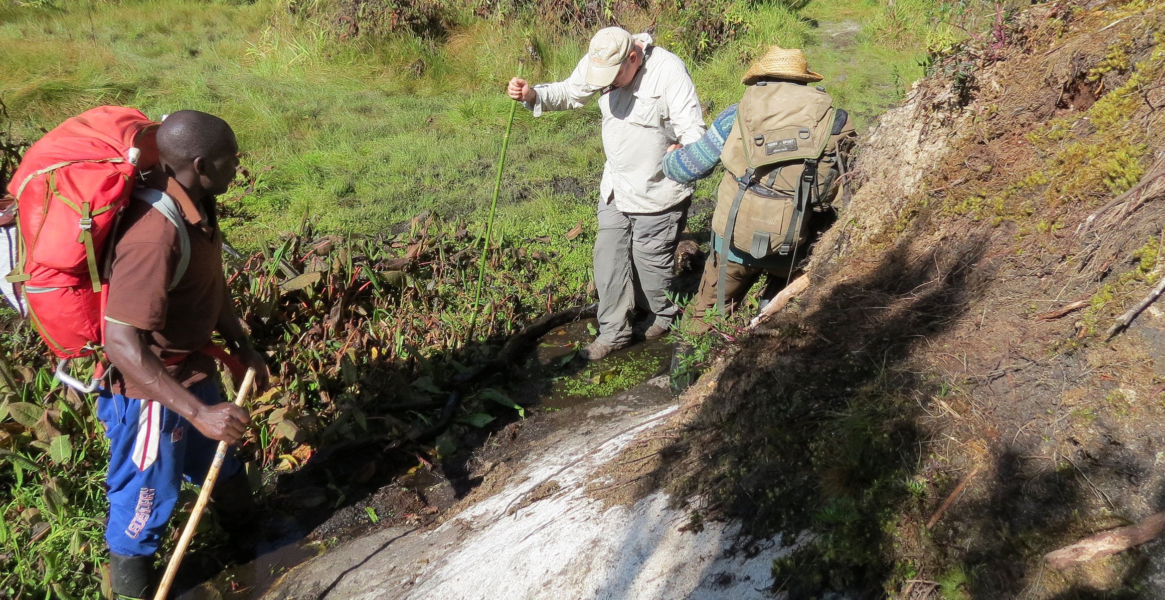 RWENZORI NATIONAL PARK UGANDA (267).JPG