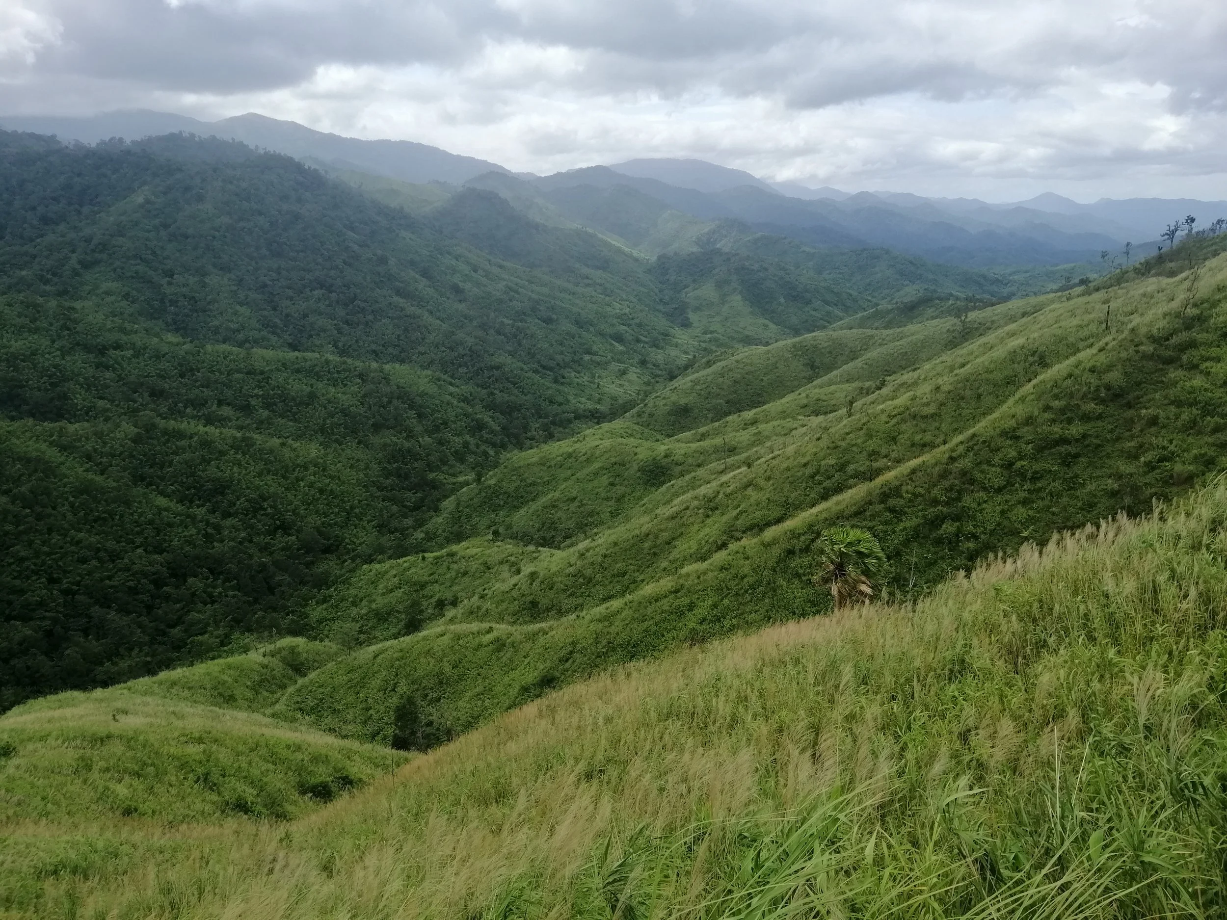 2021 Chong Yen and Surrounding Countryside (37).jpg