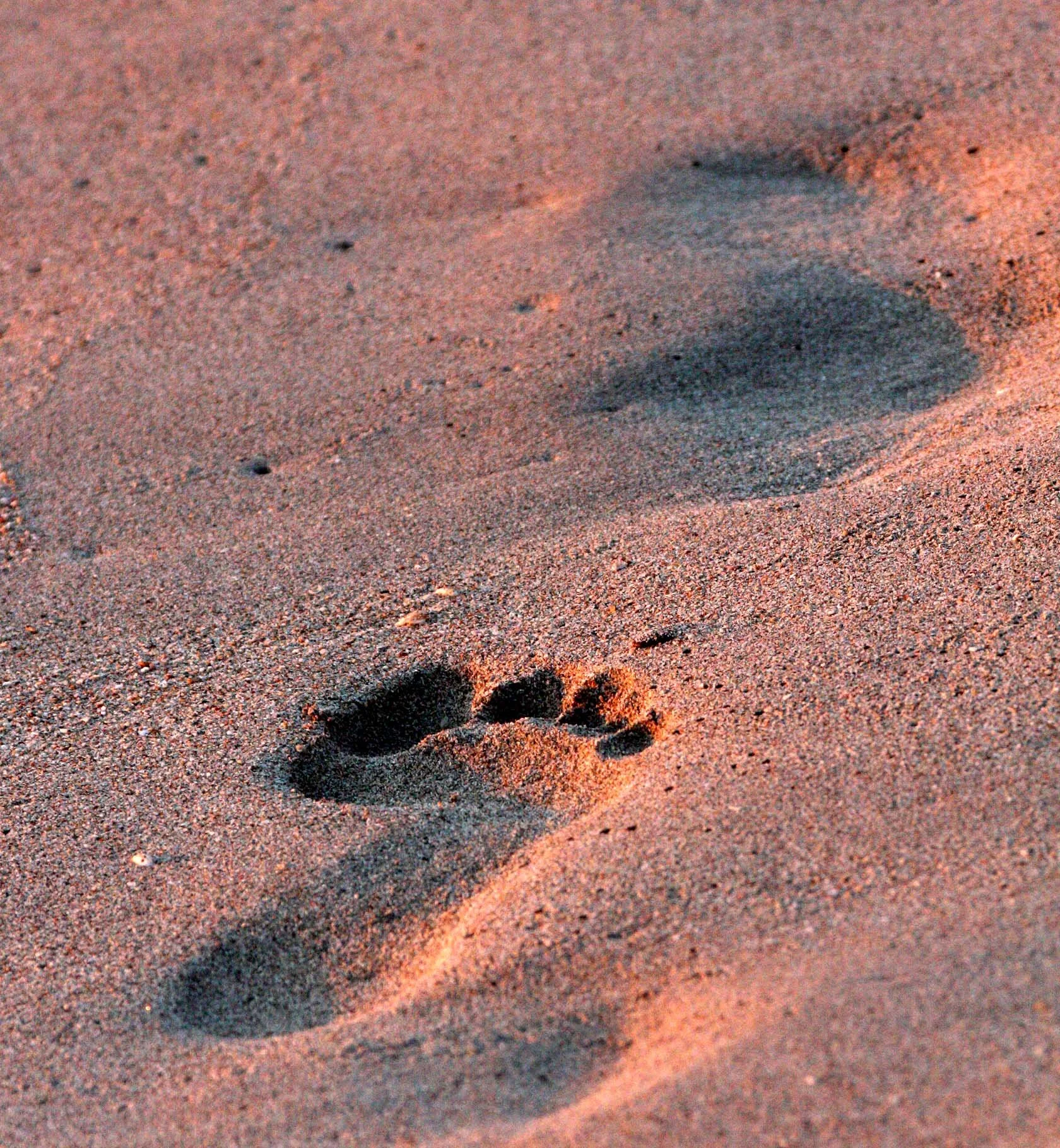 KO LANTA - PARTY AT OTTO'S - 2009 (17).JPG