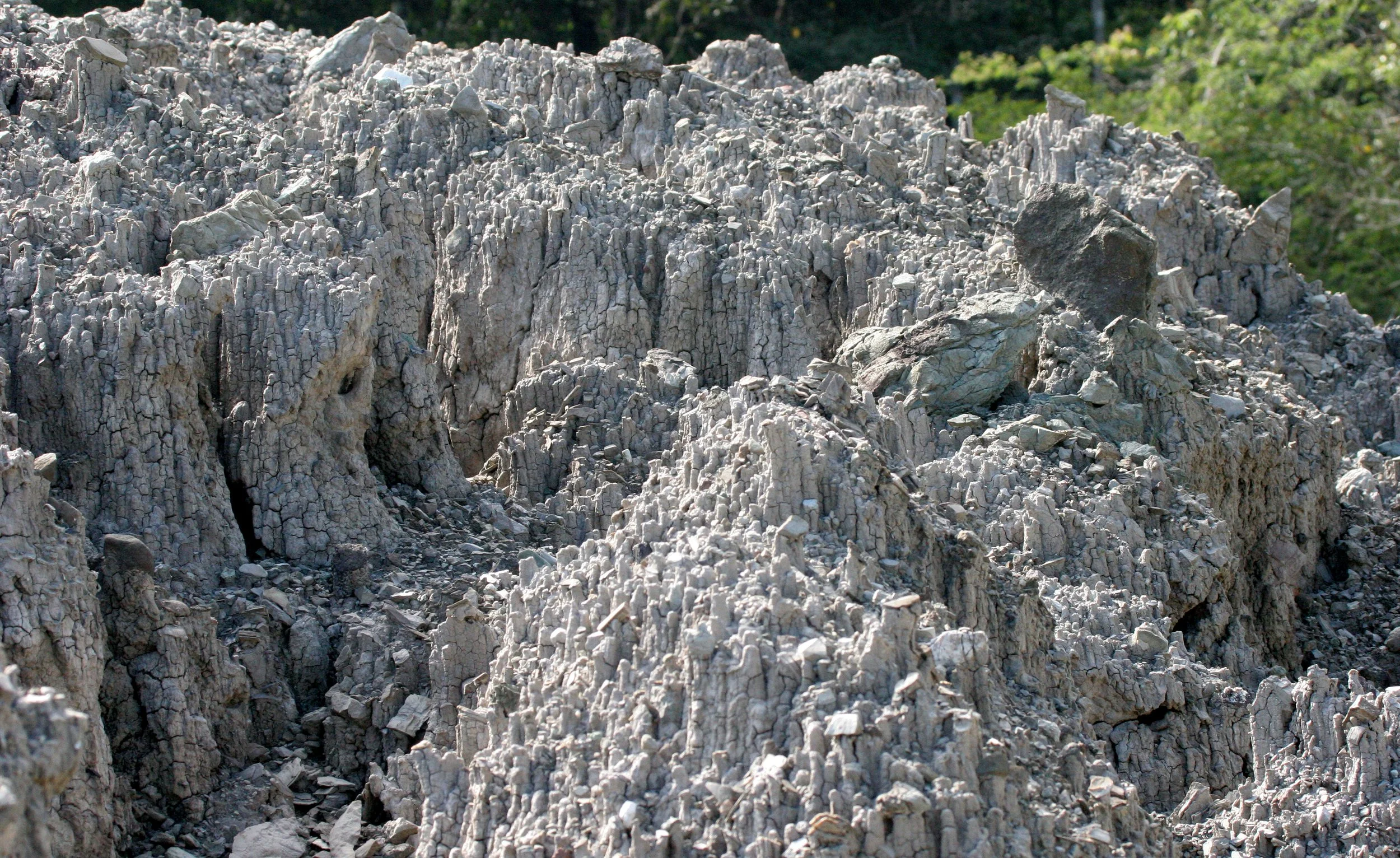TABIN WILDLIFE RESERVE BORNEO - MUD VOLCANOES (6).JPG