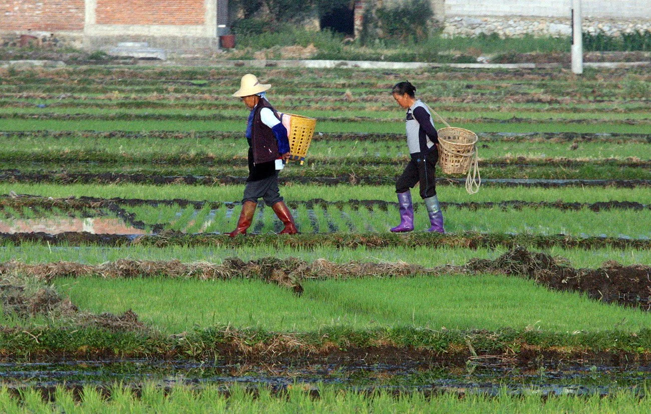LINDEN CENTER - XIZHOU VILLAGE YUNNAN CHINA (90).JPG