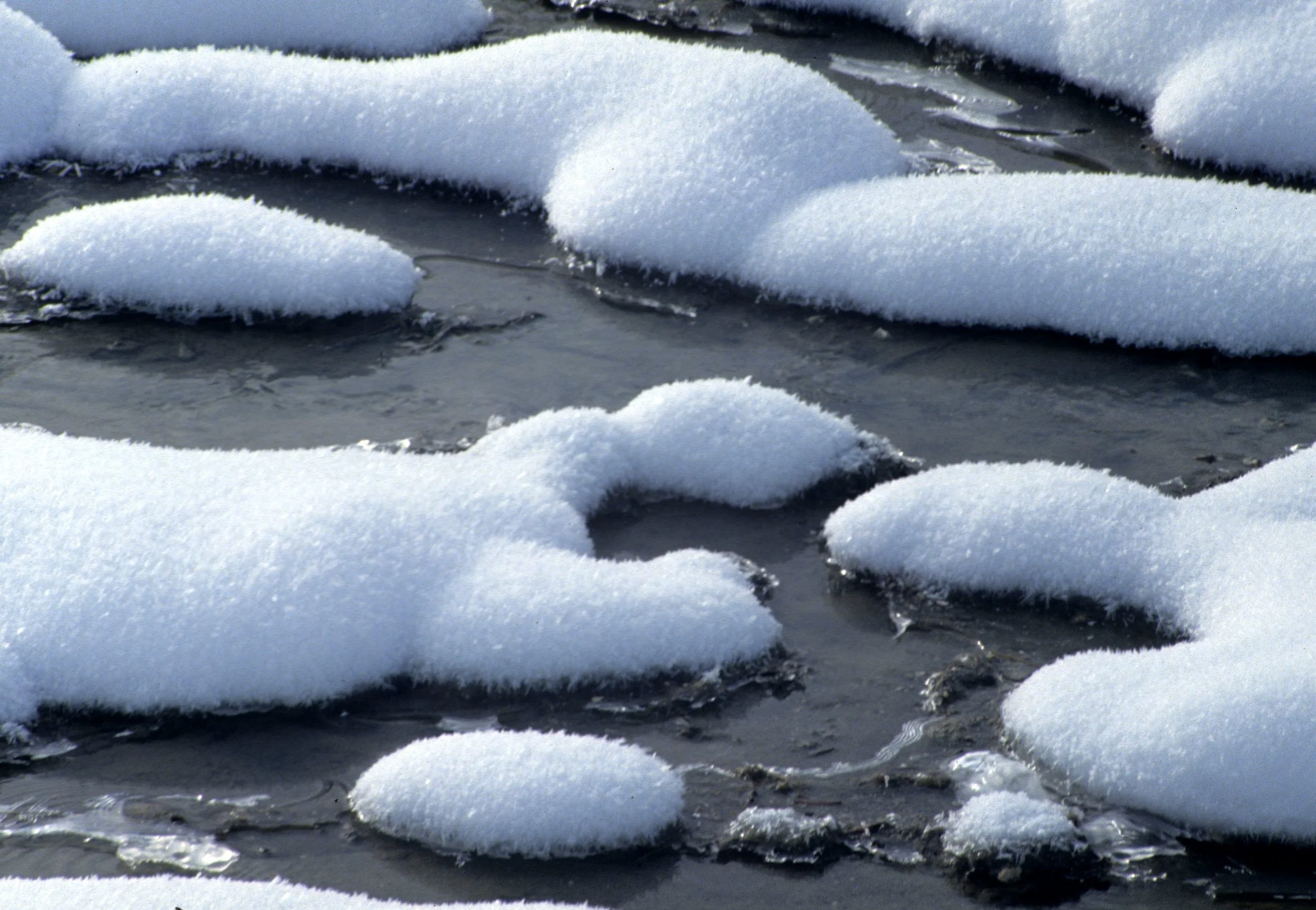YELLOWSTONE IN WINTER JJ.jpg