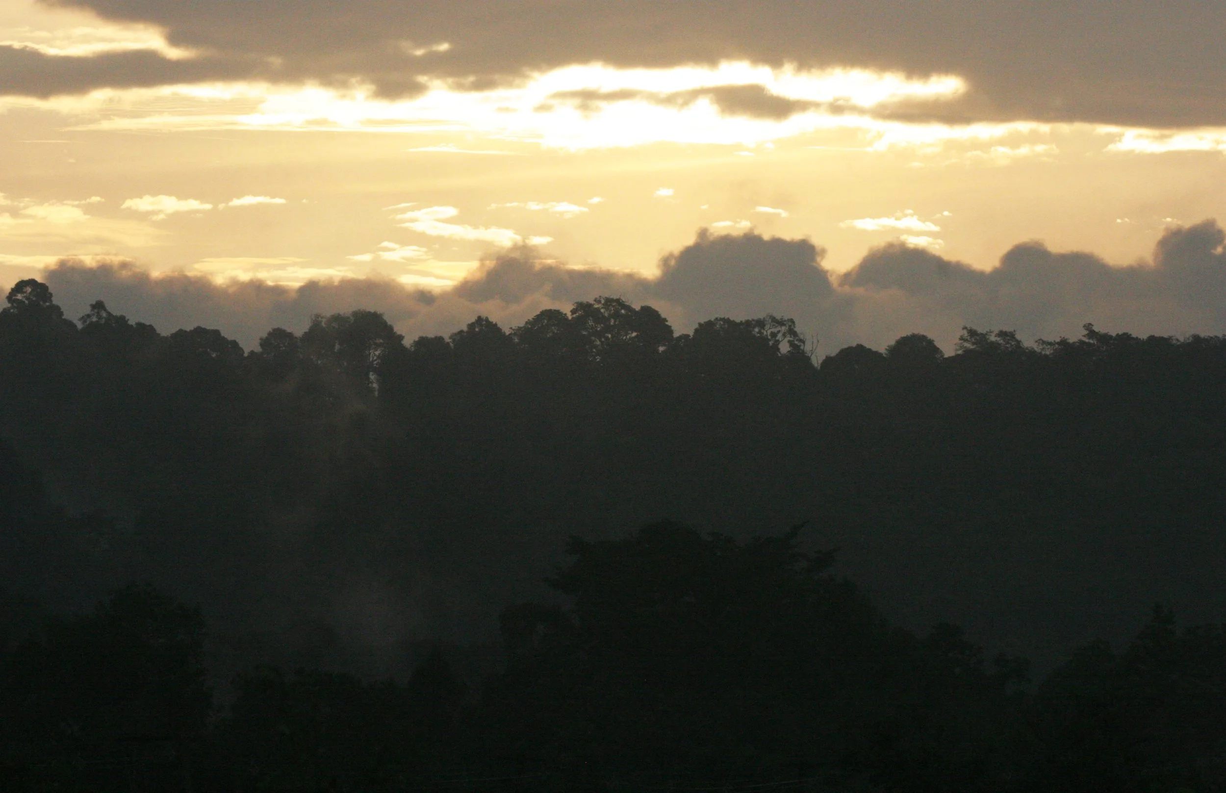 KHAO YAI NATIONAL PARK THAILAND - 2008 (3).JPG