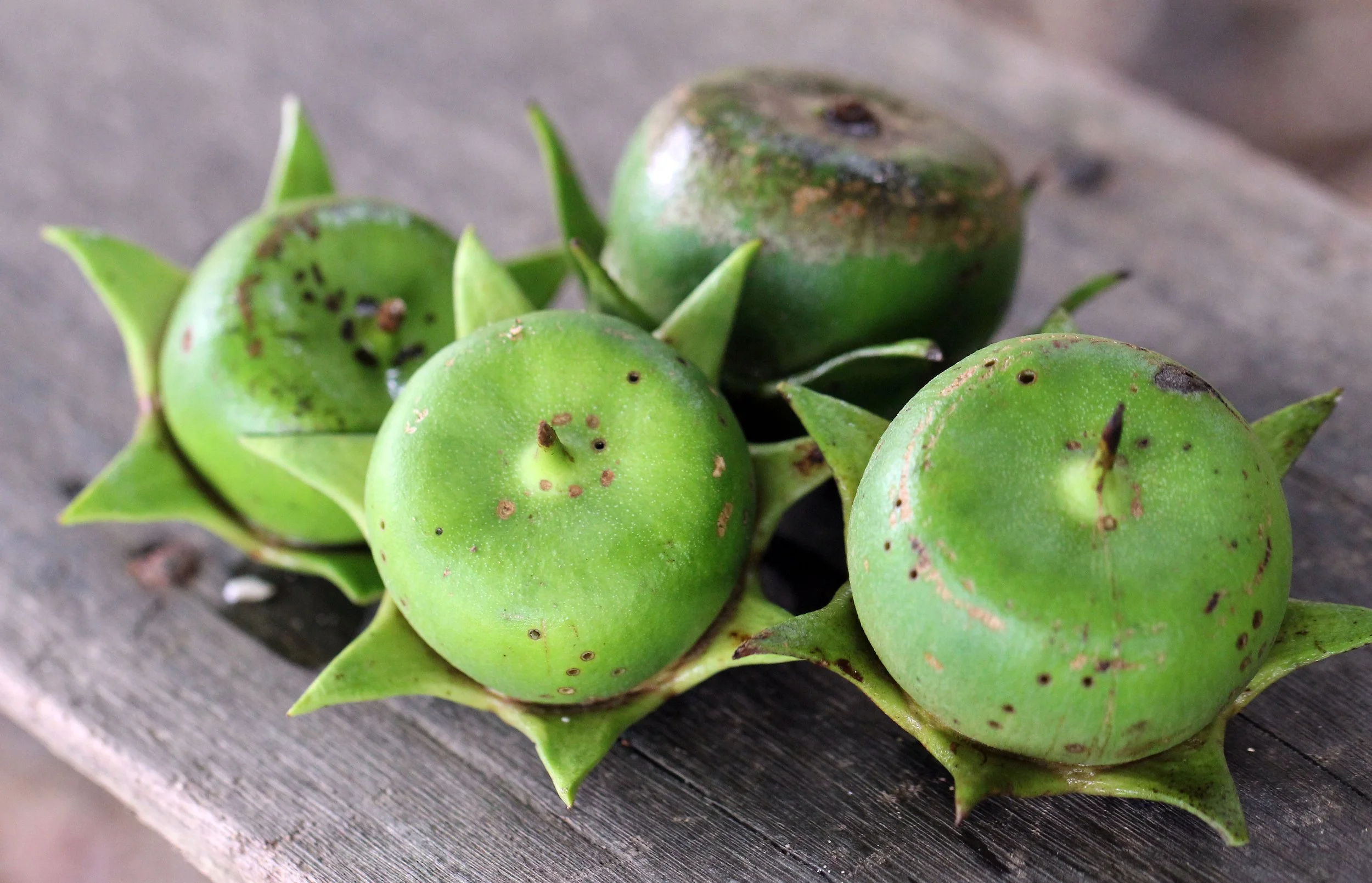 2015 Koh Lanta October Break Trip  (115).JPG