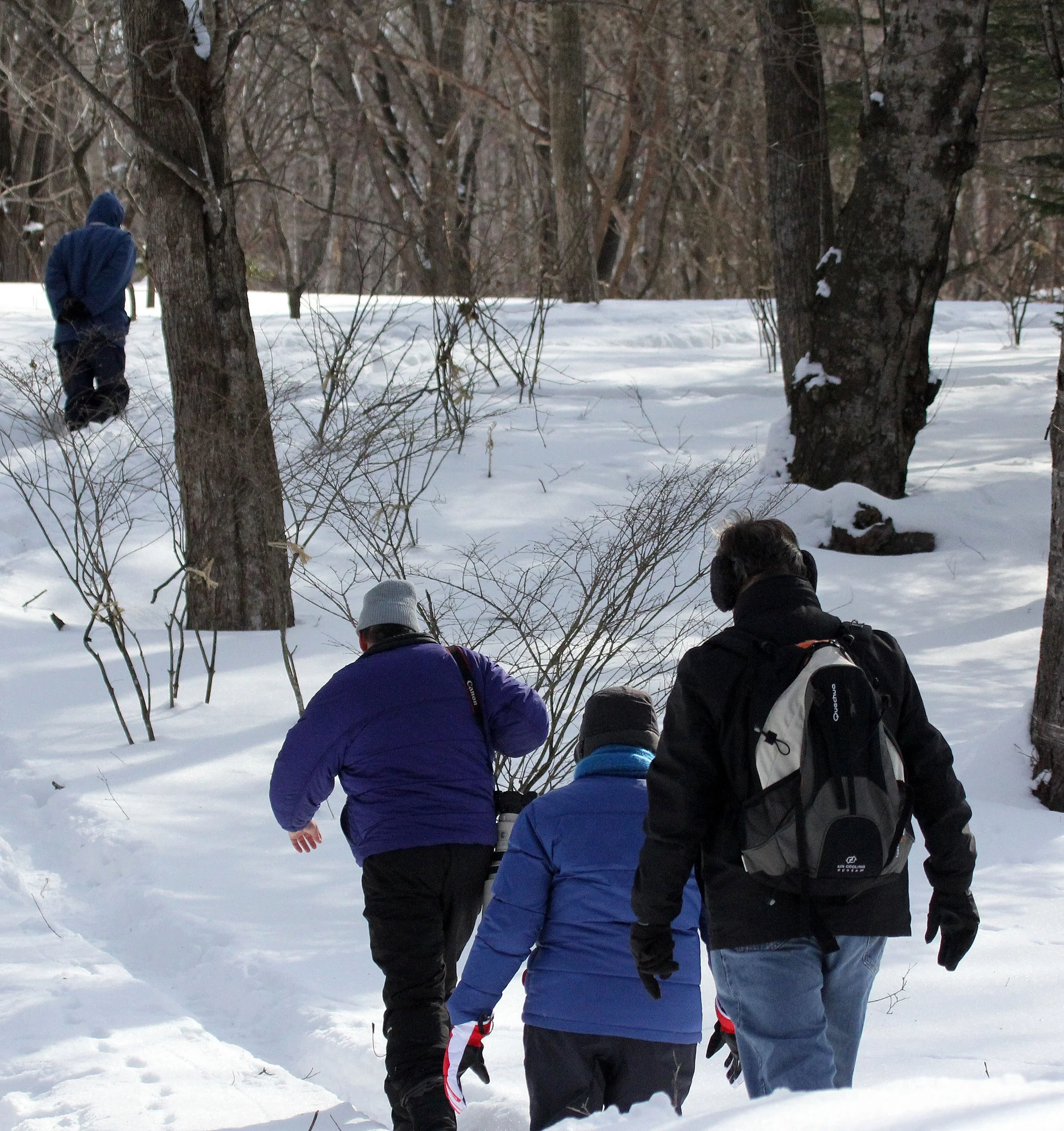 KINOHIROBA PARK - ABASHIRI - HOKKAIDO JAPAN (5).JPG