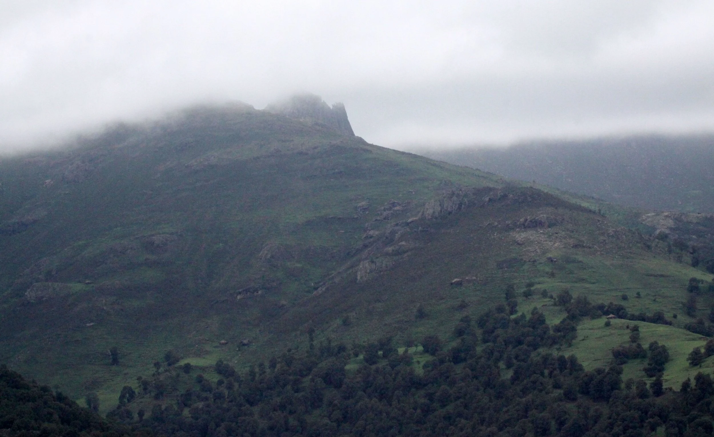 BALE MOUNTAINS NATIONAL PARK ETHIOPIA (23).JPG