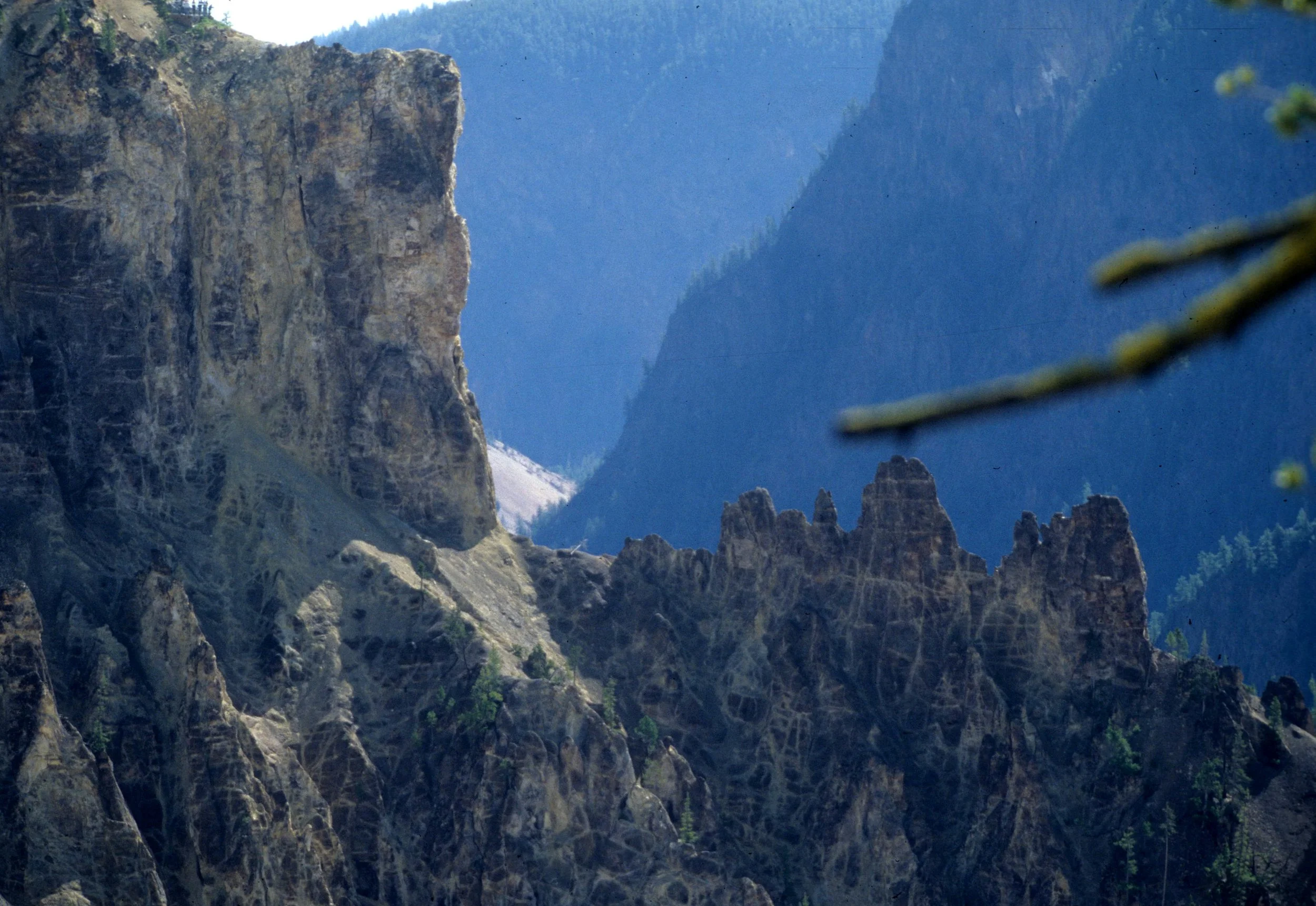YELLOWSTONE - CANYON VIEW.jpg