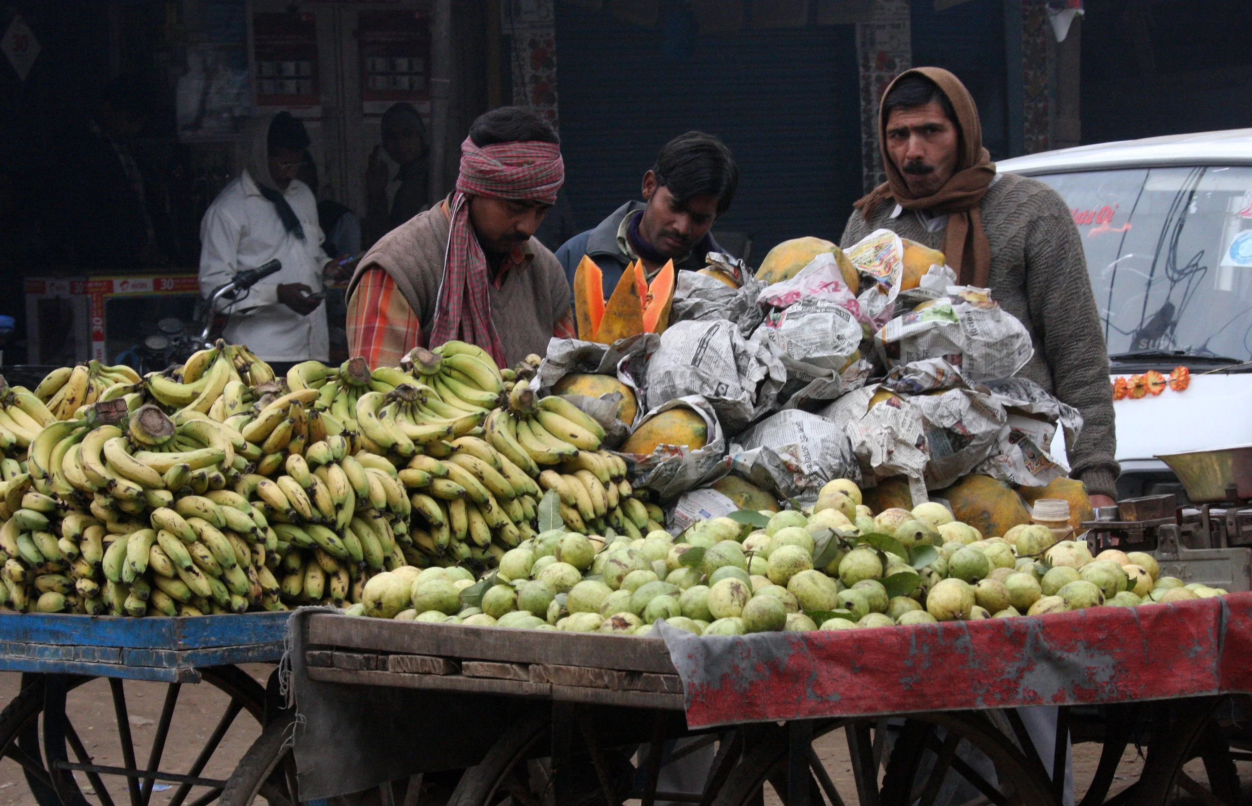 CHAMBAL RIVER SANCTUARY INDIA (5).JPG