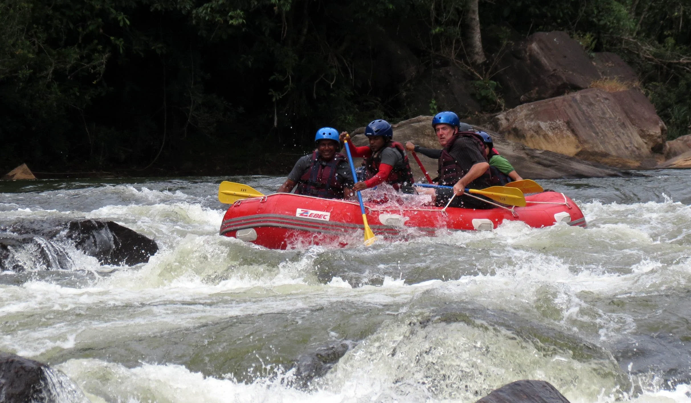 KITULGALA FOREST PRESERVE SRI LANKA (44).JPG