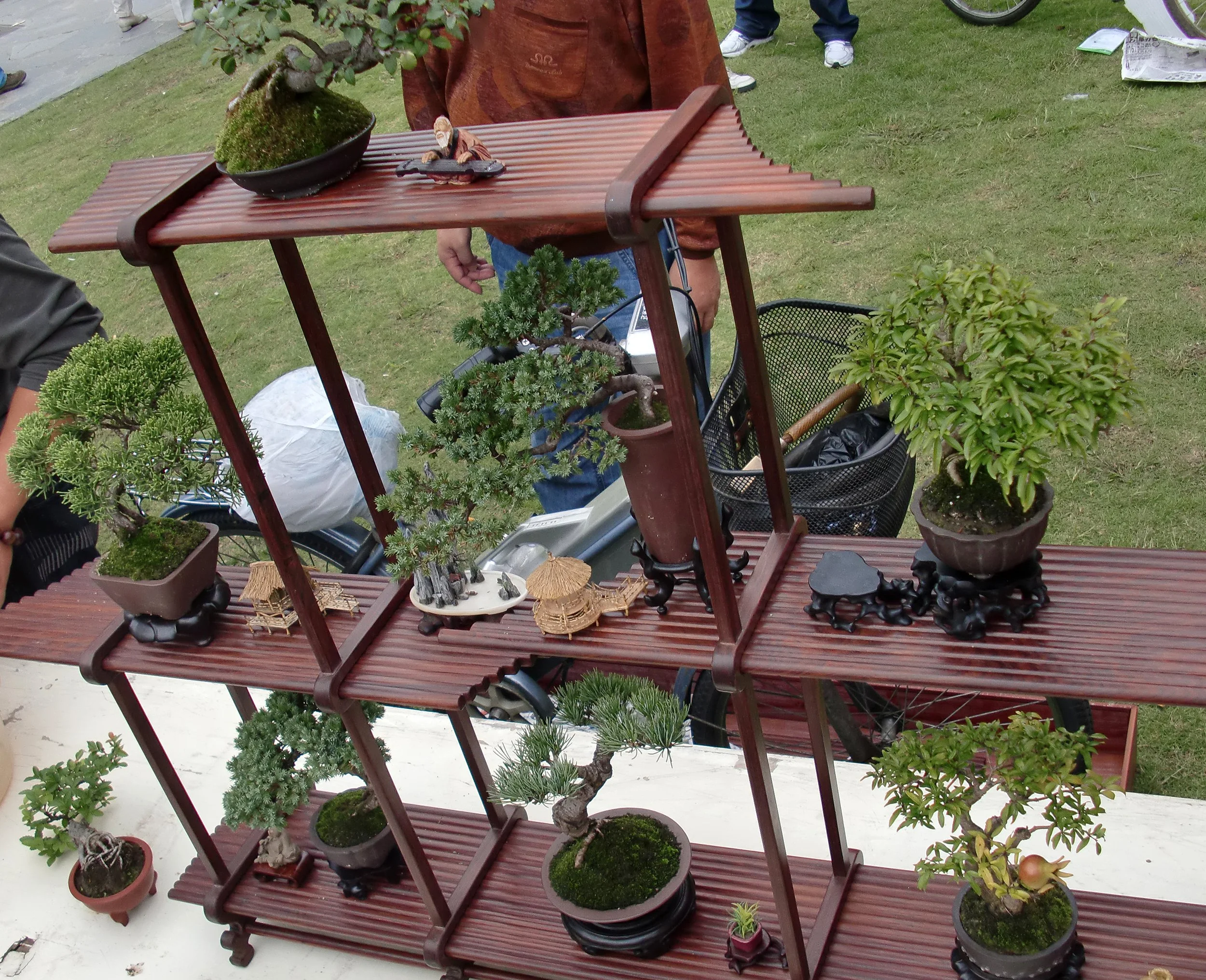 2010-9-30 SHANGHAI BOTANICAL GARDEN (9).JPG