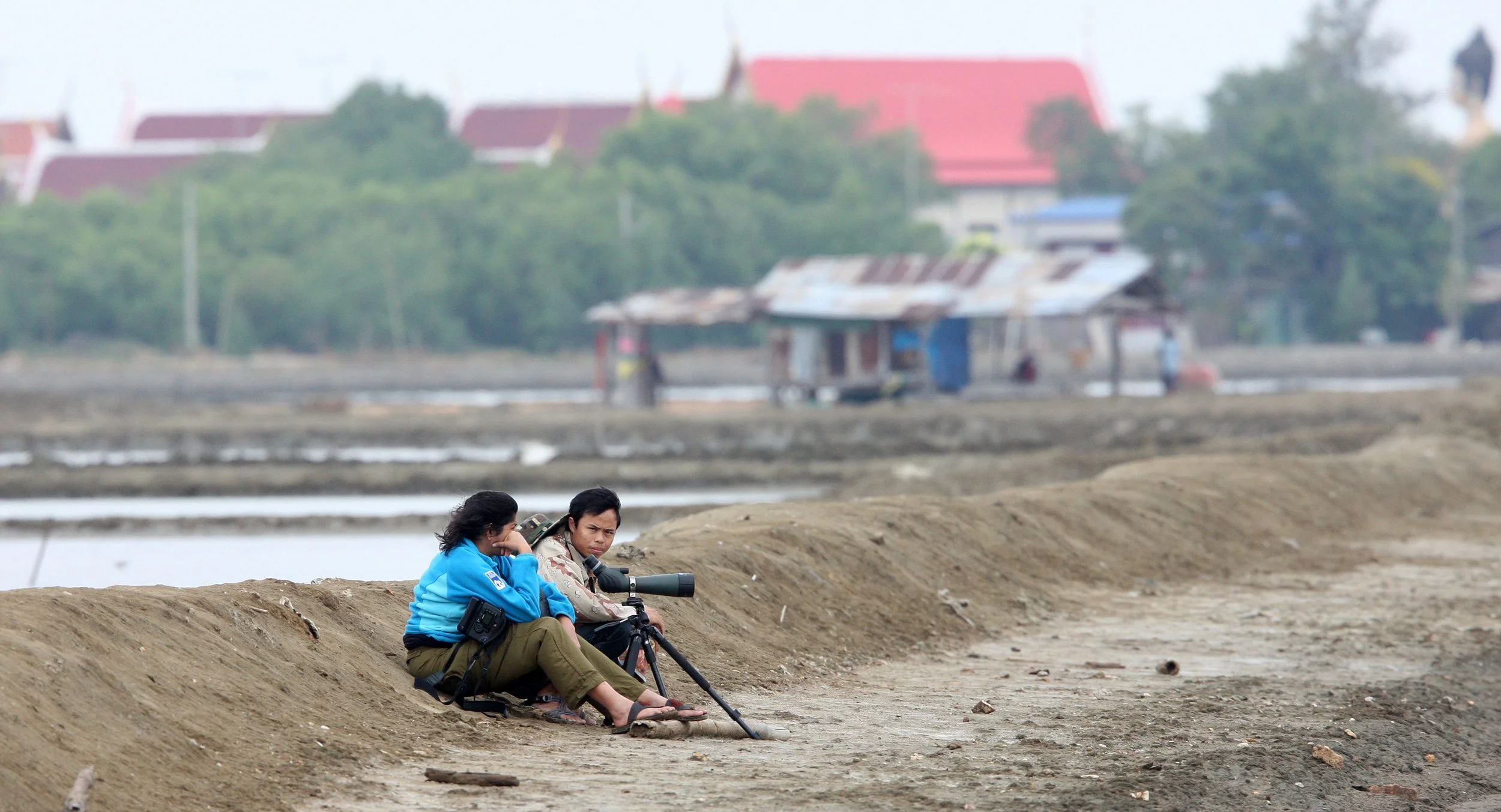 2011 Pak Thale Salt Ponds (16).JPG