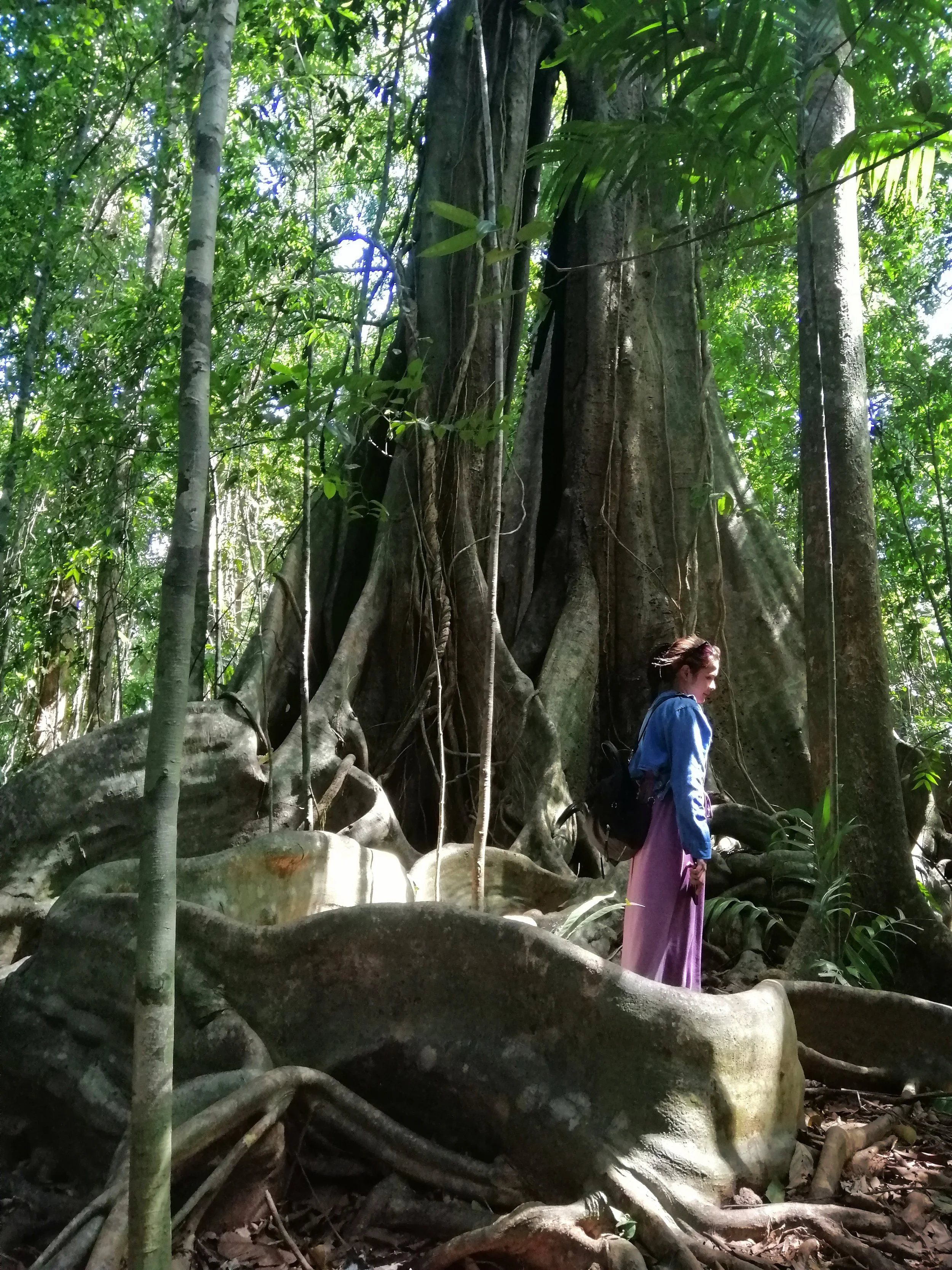 2019 Koh Kood Road Trip (36).jpg