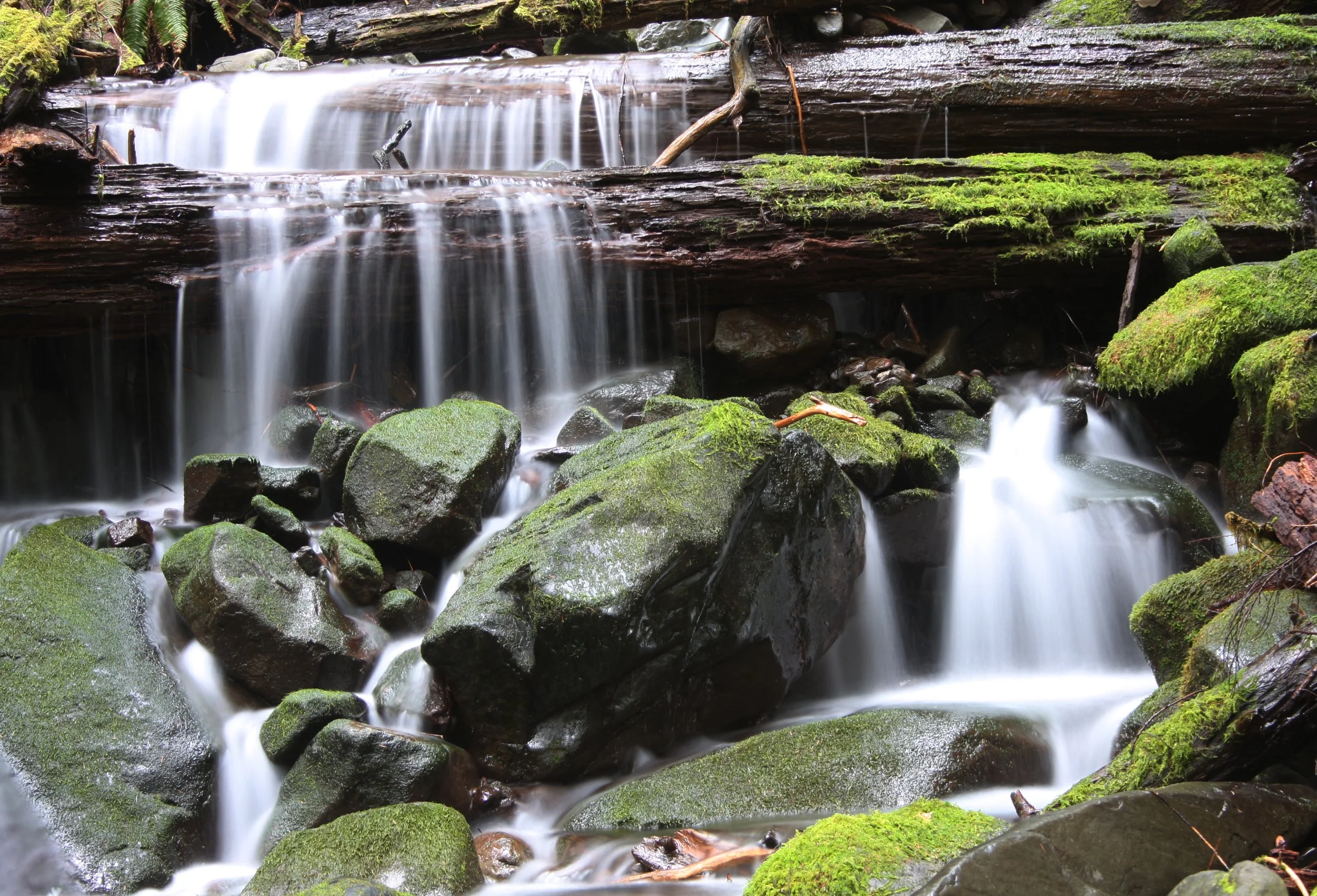 SOL DUC FALLS AND FOREST - ONP WA (93).JPG