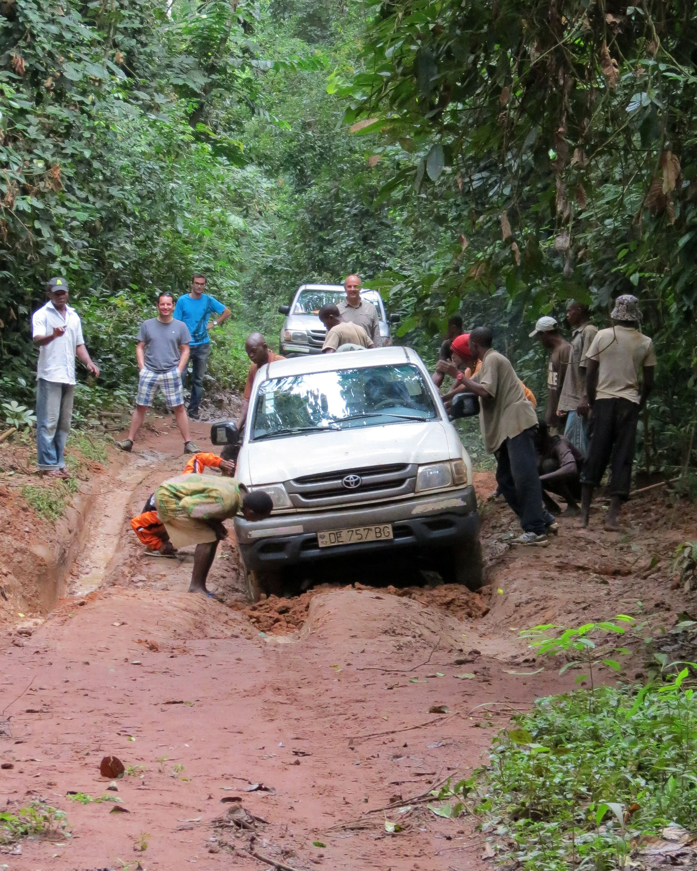 DZANGA NDOKI NATIONAL PARK  - CENTRAL AFRICAN REPUBLIC (19).JPG