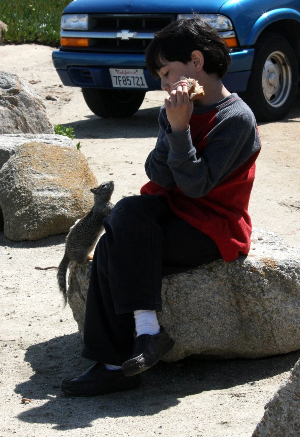 2010-3-31 ELKHORN SLOUGH & MONTEREY CALIFORNIA - ROADTRIP 2010 (10).JPG