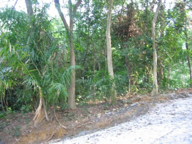 KOH LANTA - PROPERTY - 2005 (62).jpg