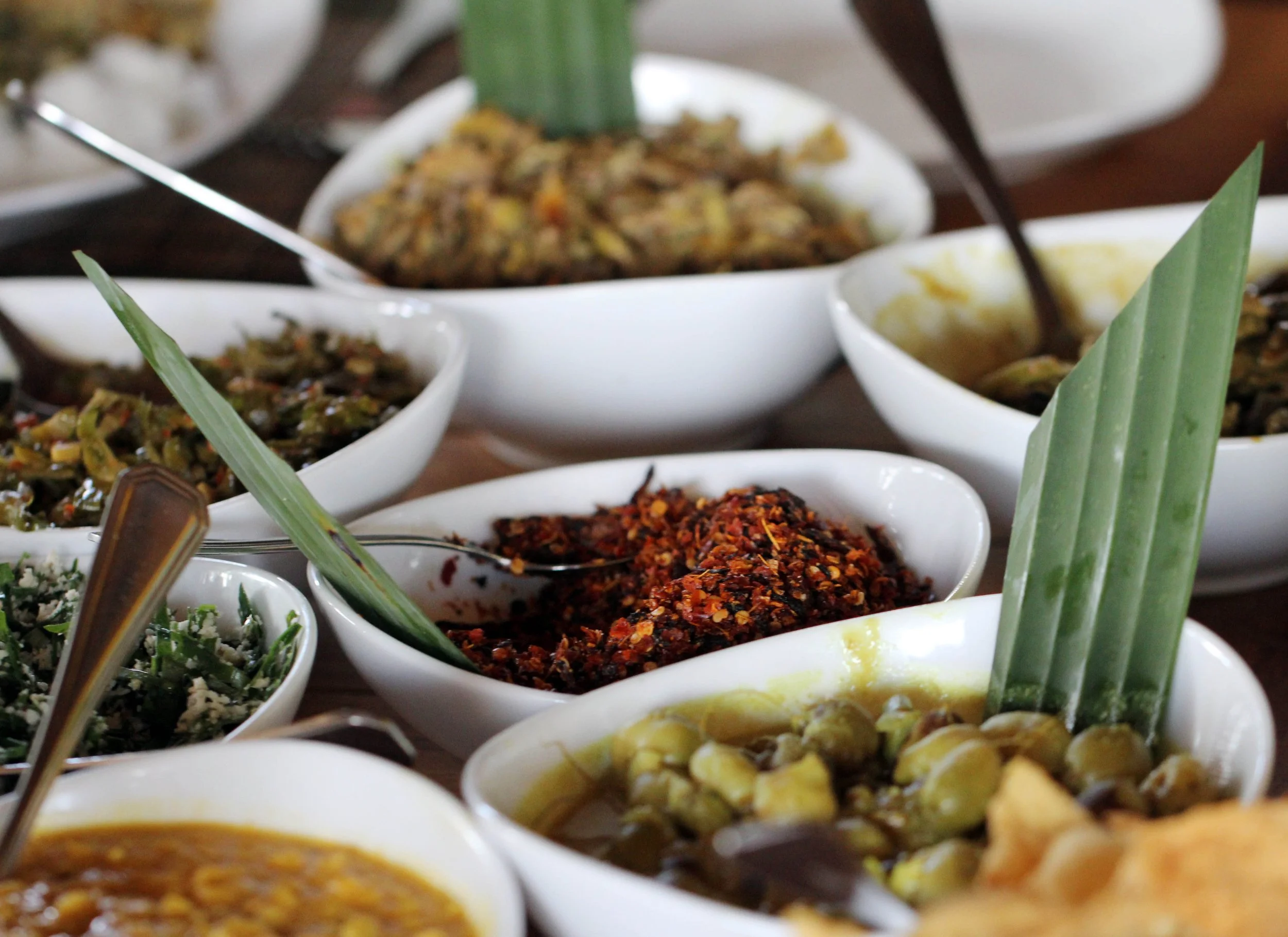 UDAWALAWA NATIONAL PARK SRI LANKA - PHOTO BY SOM SMITH (5).JPG